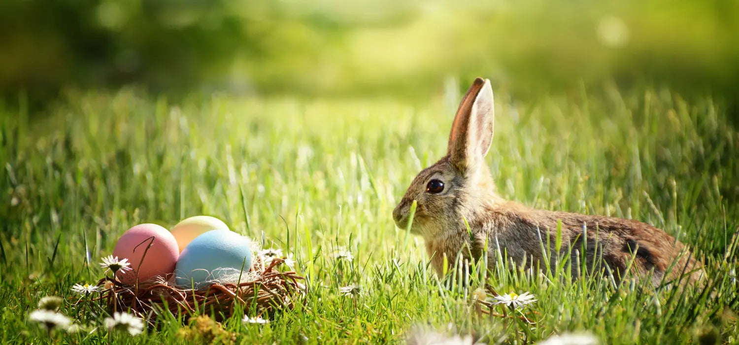 Kids Easter Holiday Activities