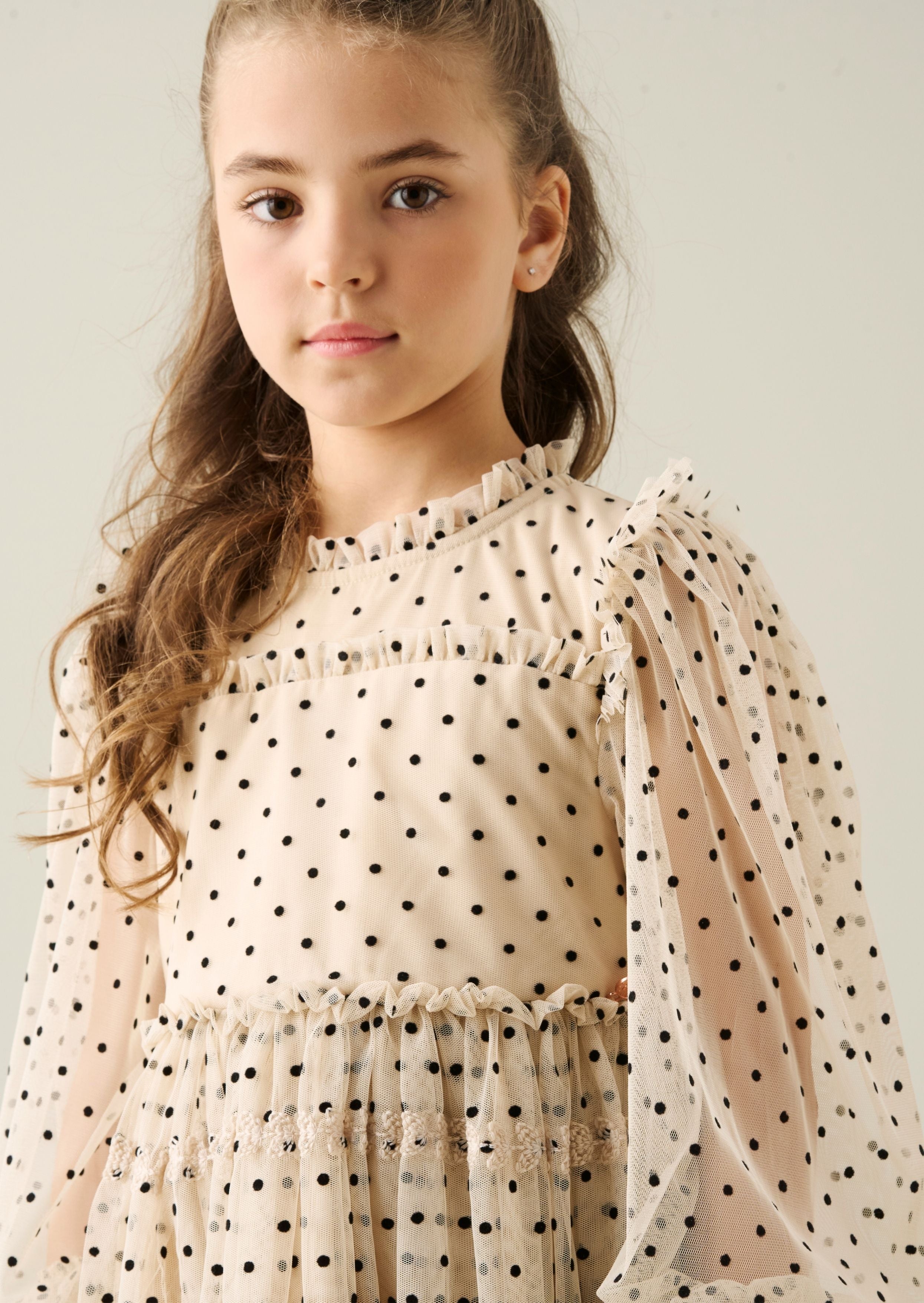 Anya Embroidered Mesh Dress