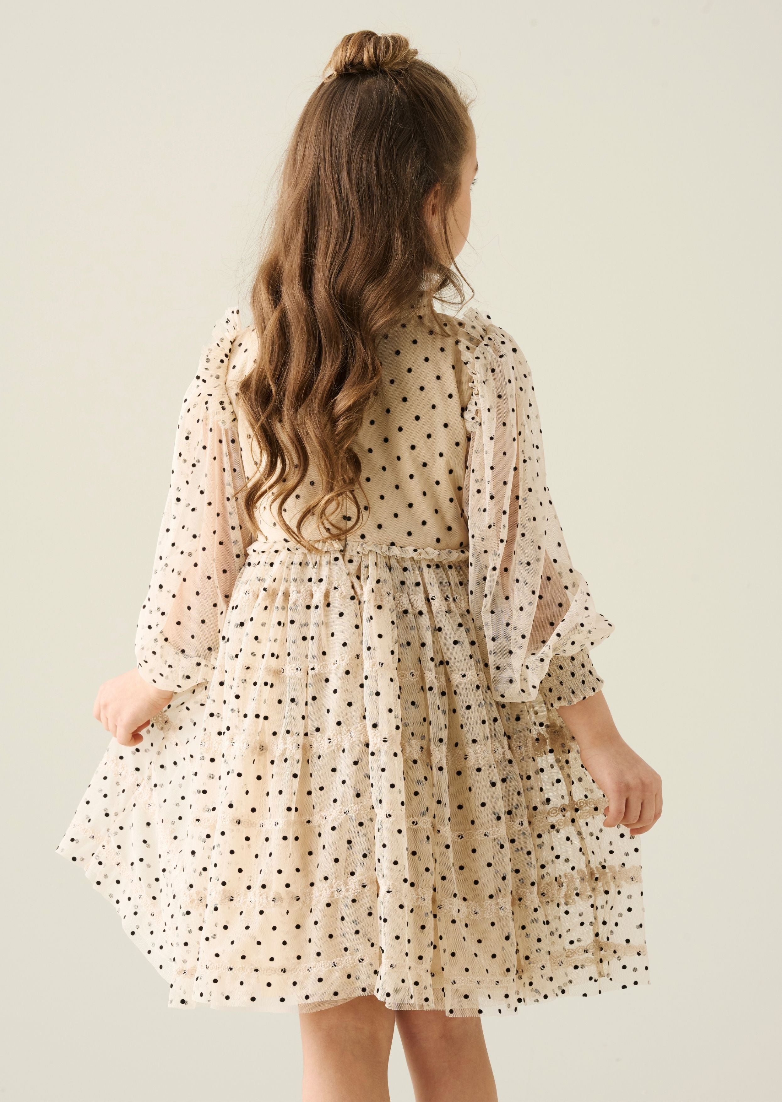 Anya Embroidered Mesh Dress
