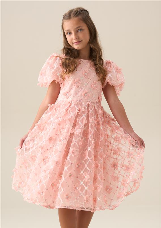 Francine Pink Embellished Puff Sleeve Dress