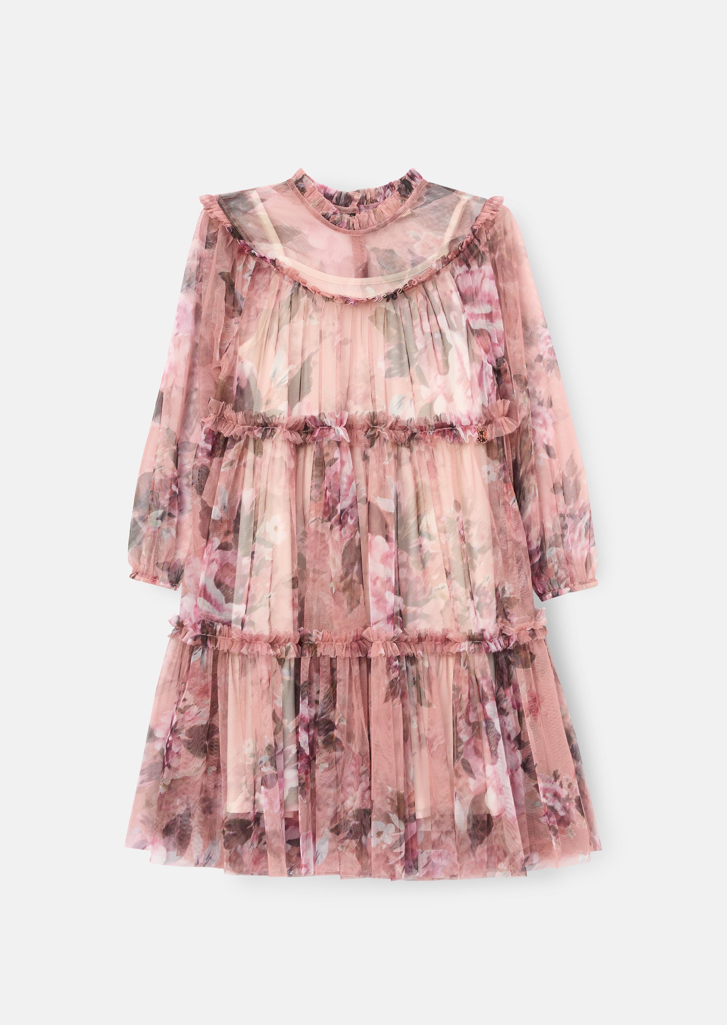 Eleanor Rose Floral Mesh Dress