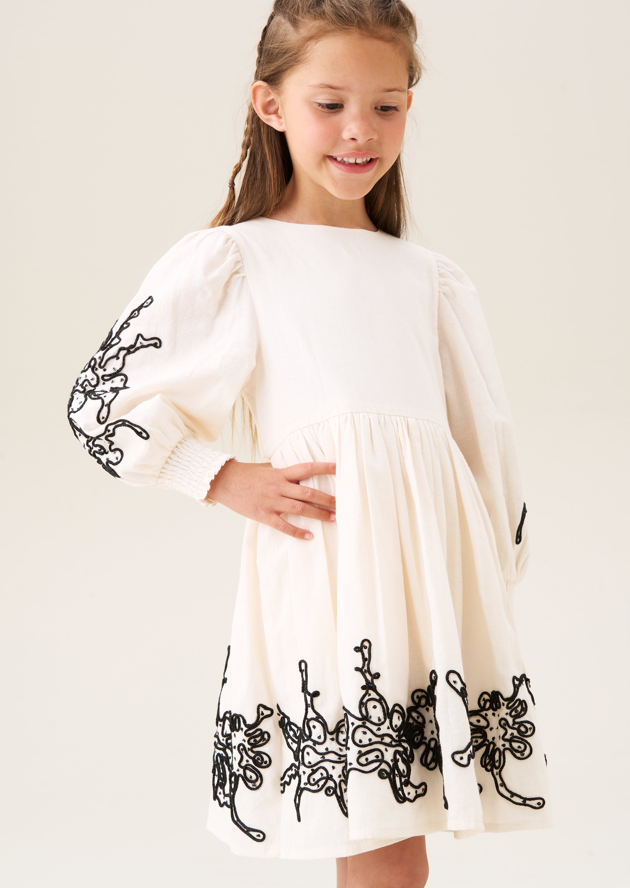 Reyna Embroidered Balloon Sleeve Dress