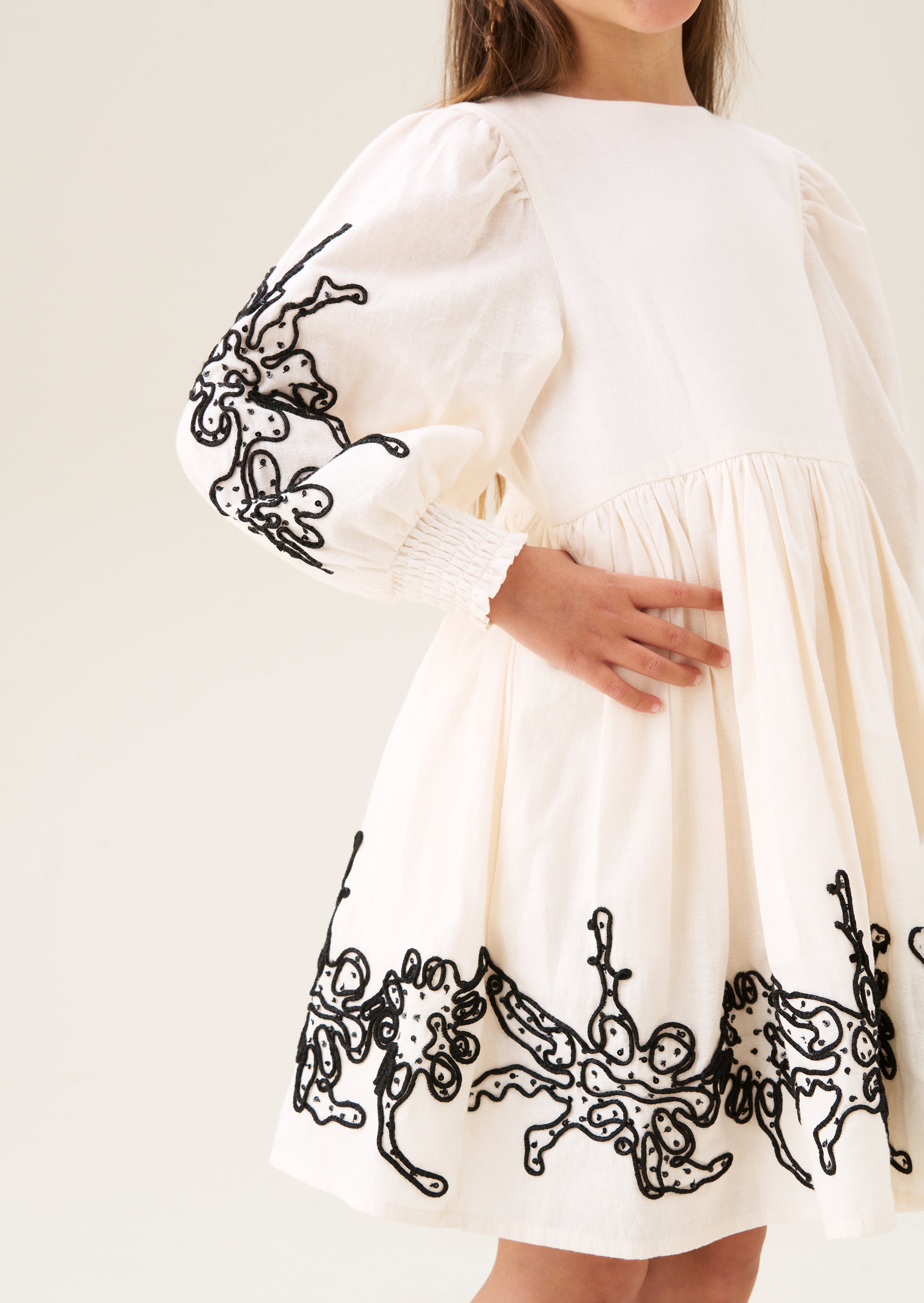 Reyna Embroidered Balloon Sleeve Dress