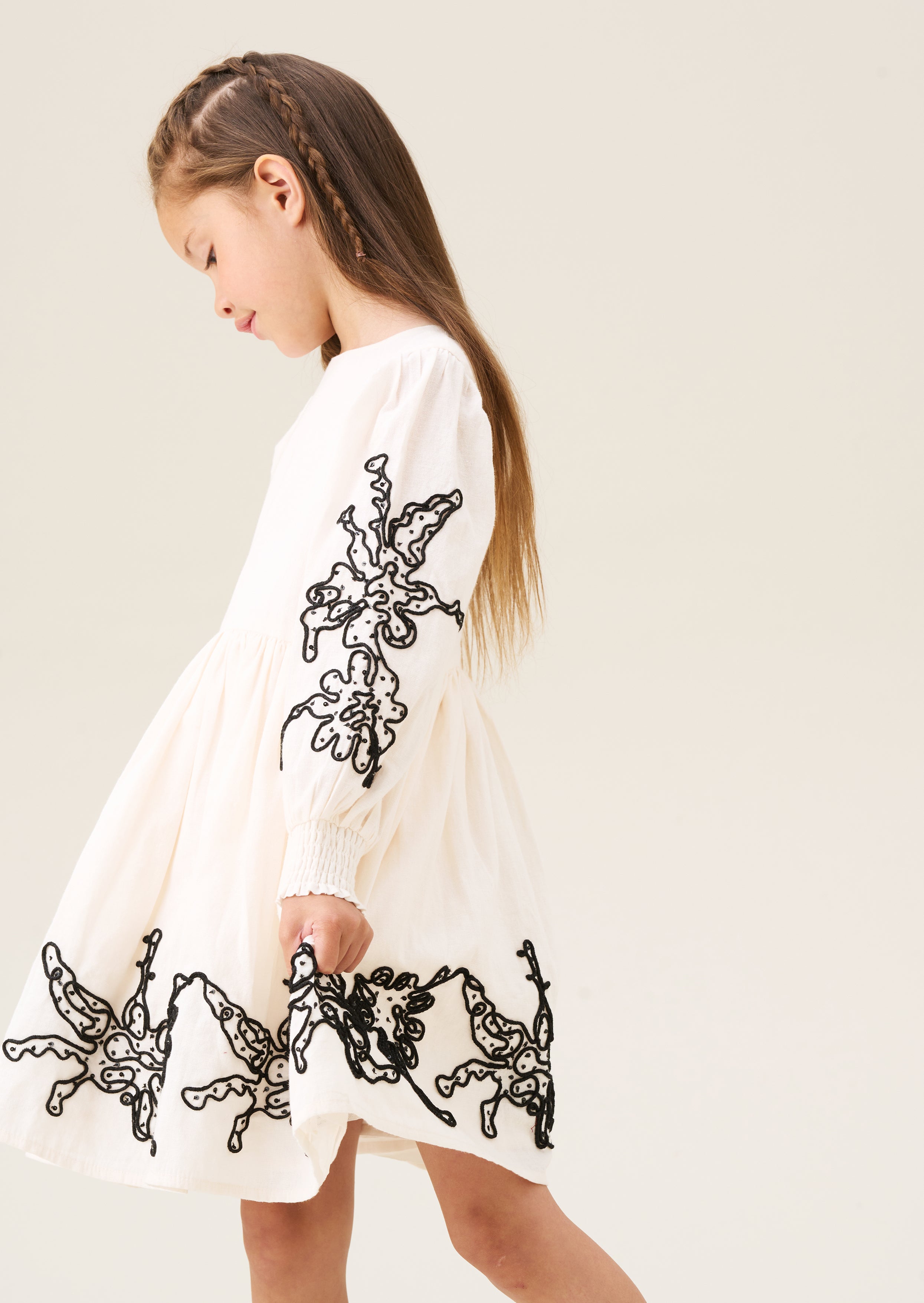 Reyna Embroidered Balloon Sleeve Dress