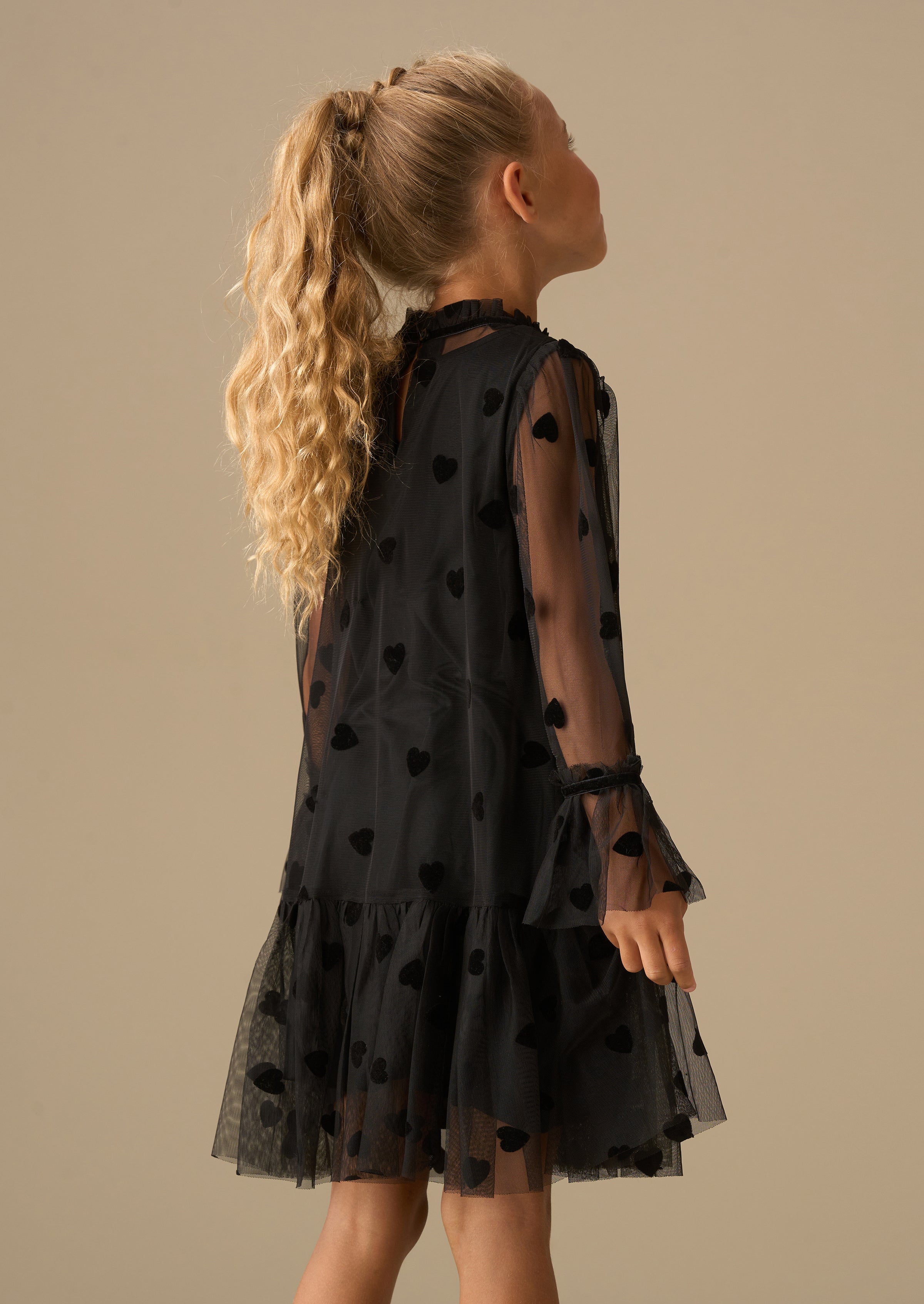 Neve Flock Heart Mesh Dress