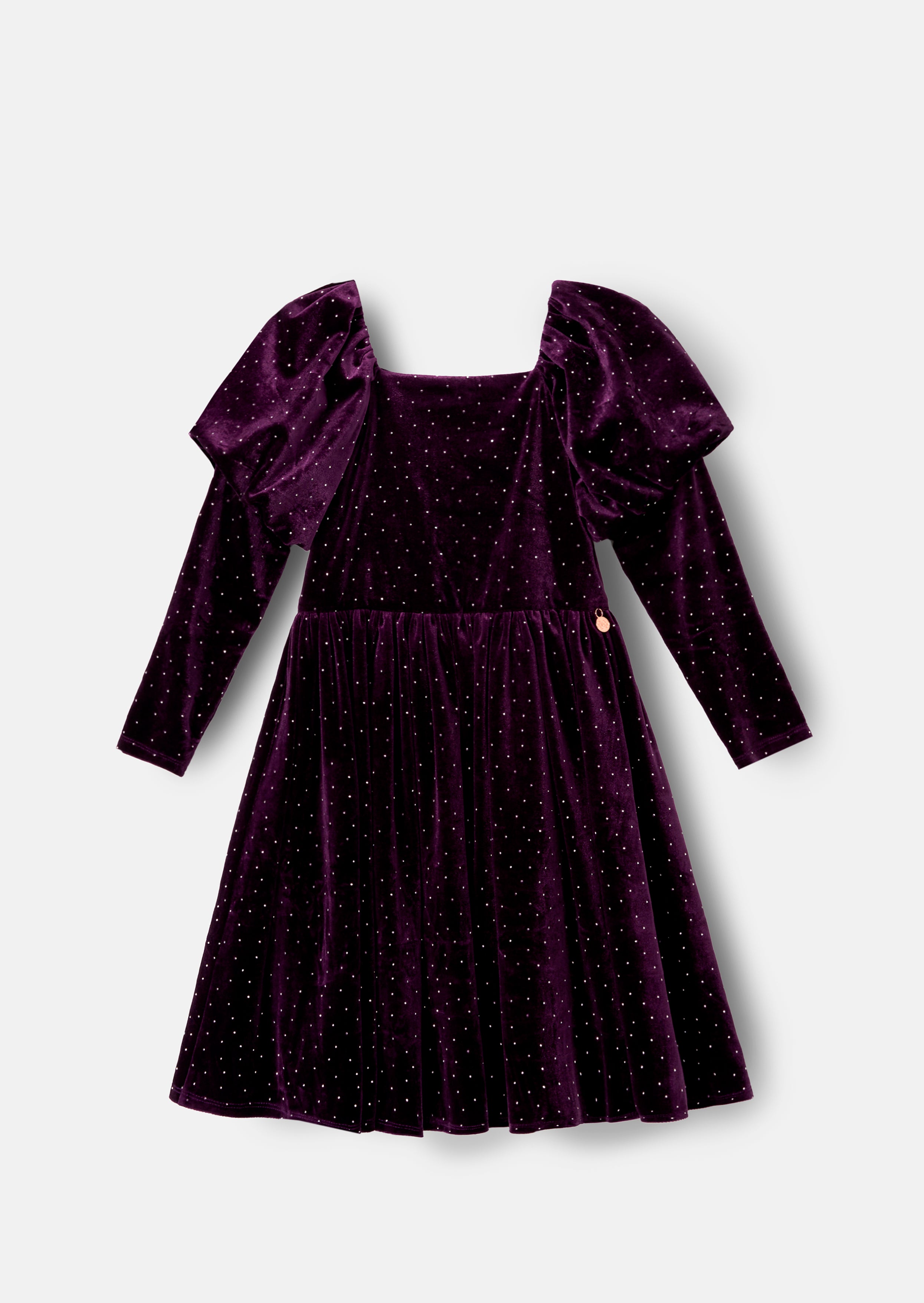 Violet Velvet Dress