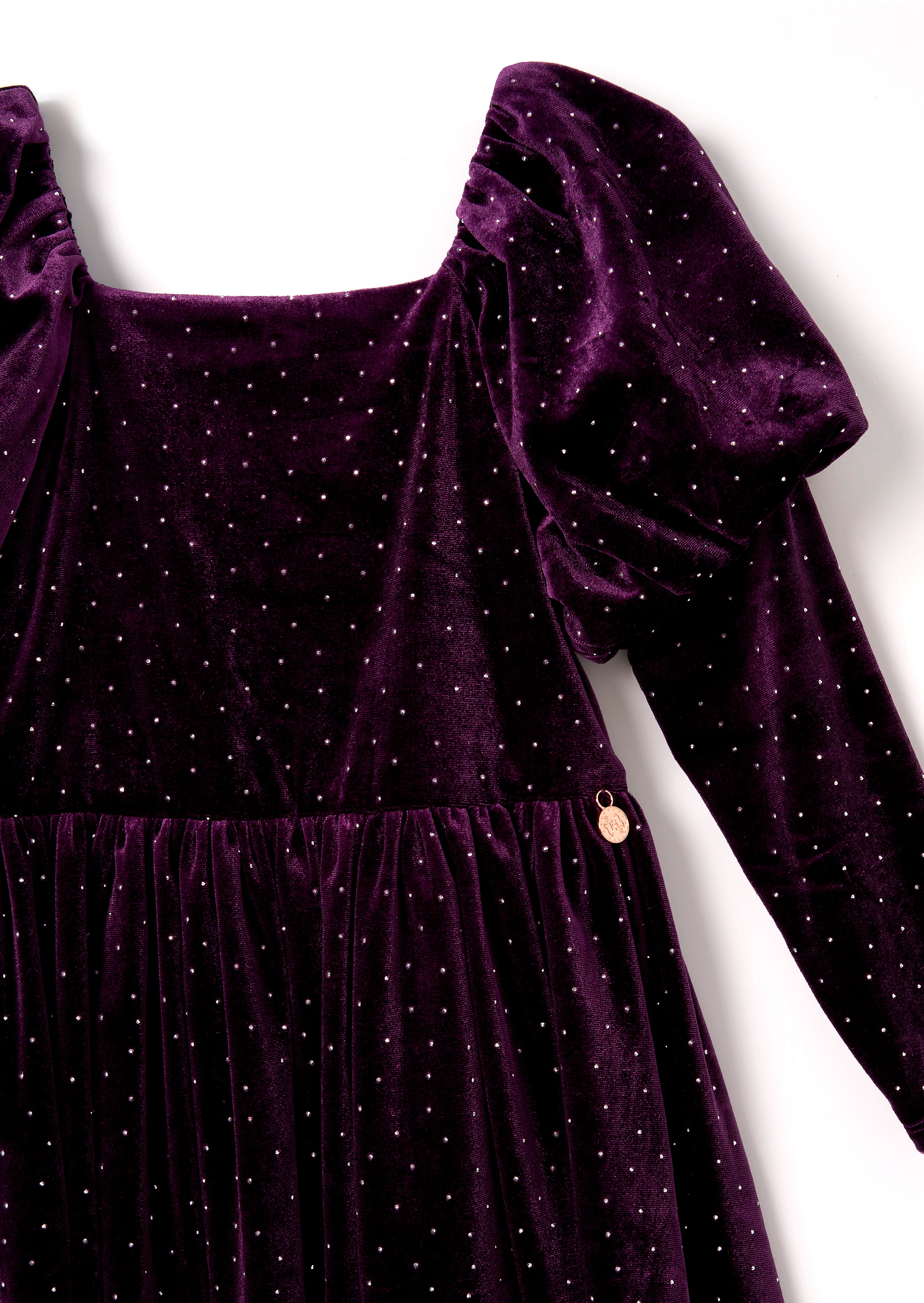 Violet Velvet Dress