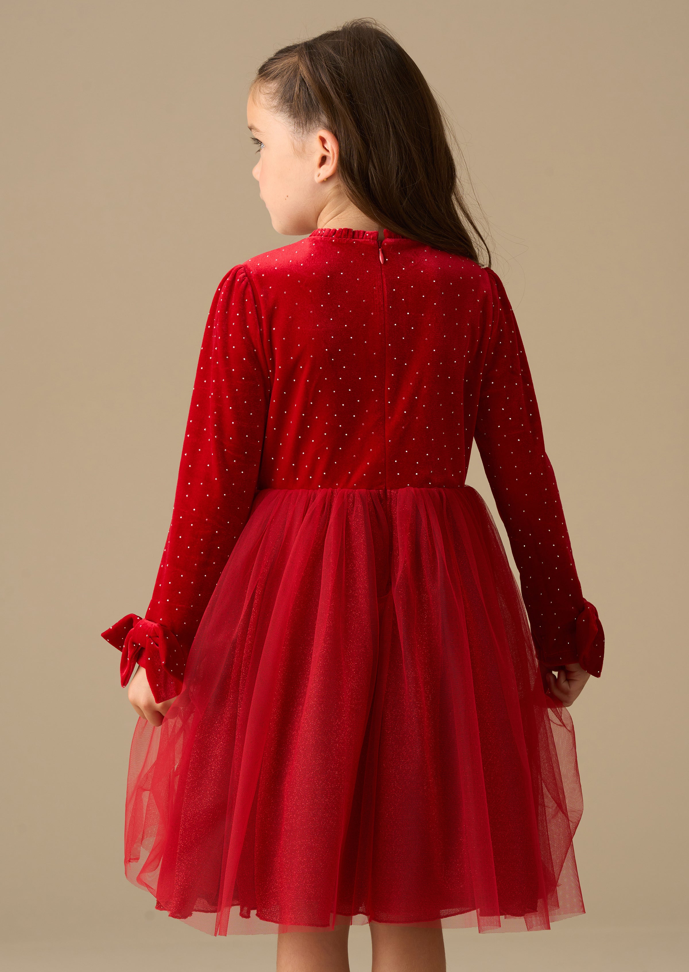 Elsie Velvet Tulle Dress