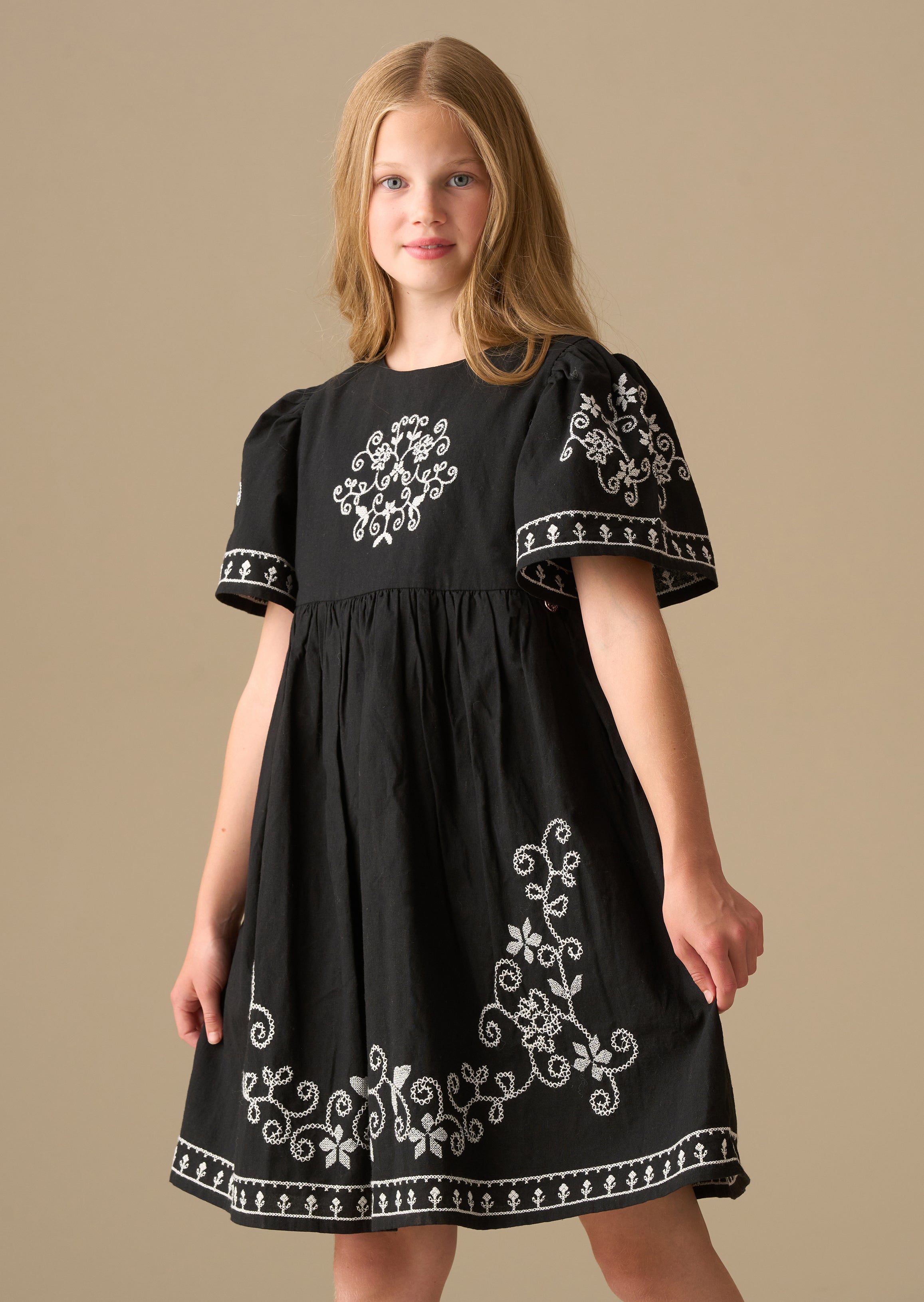 Reyna Black Embroidered Swing Dress