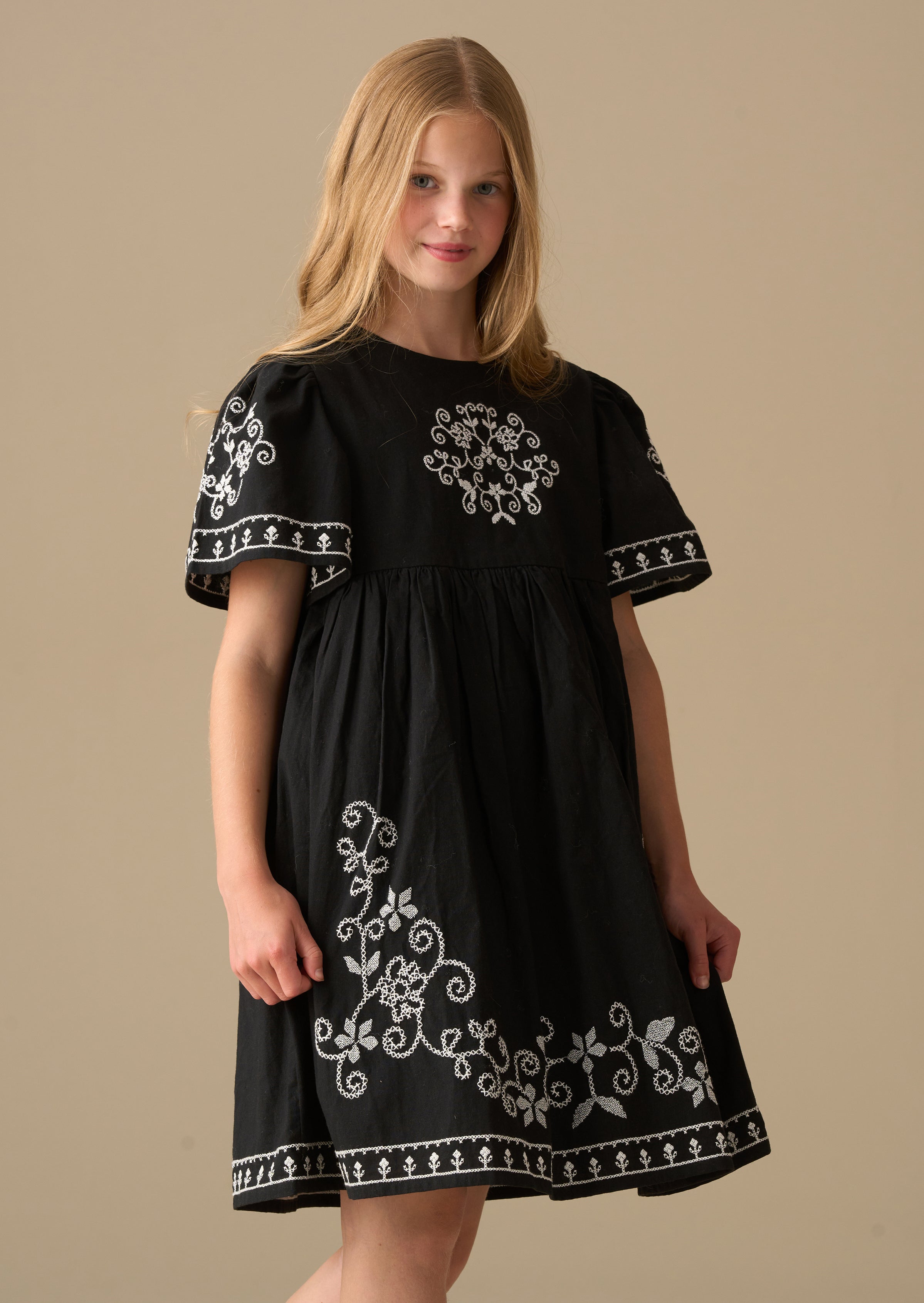 Reyna Black Embroidered Swing Dress