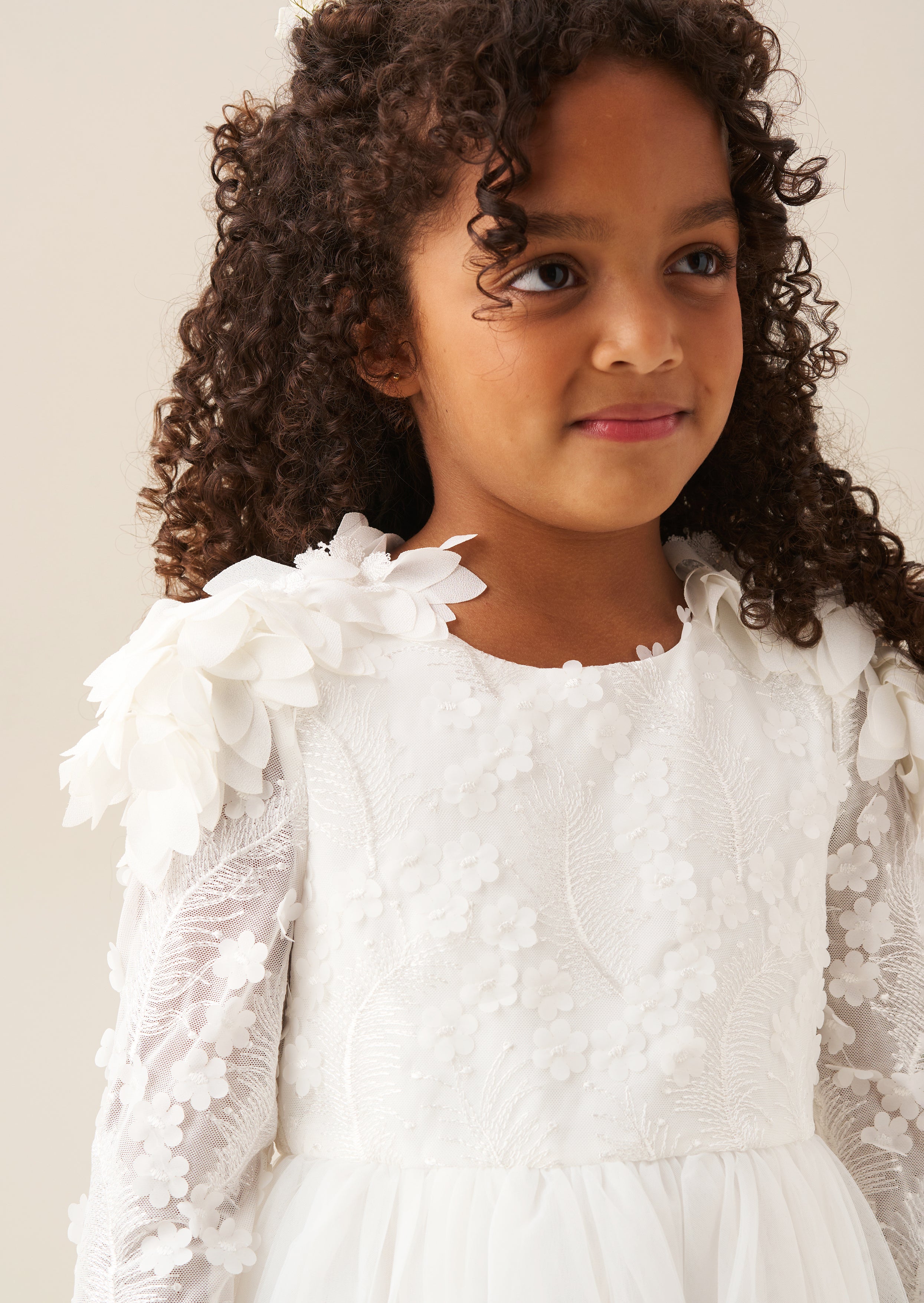 Gabrielle Embellished Mesh Dress