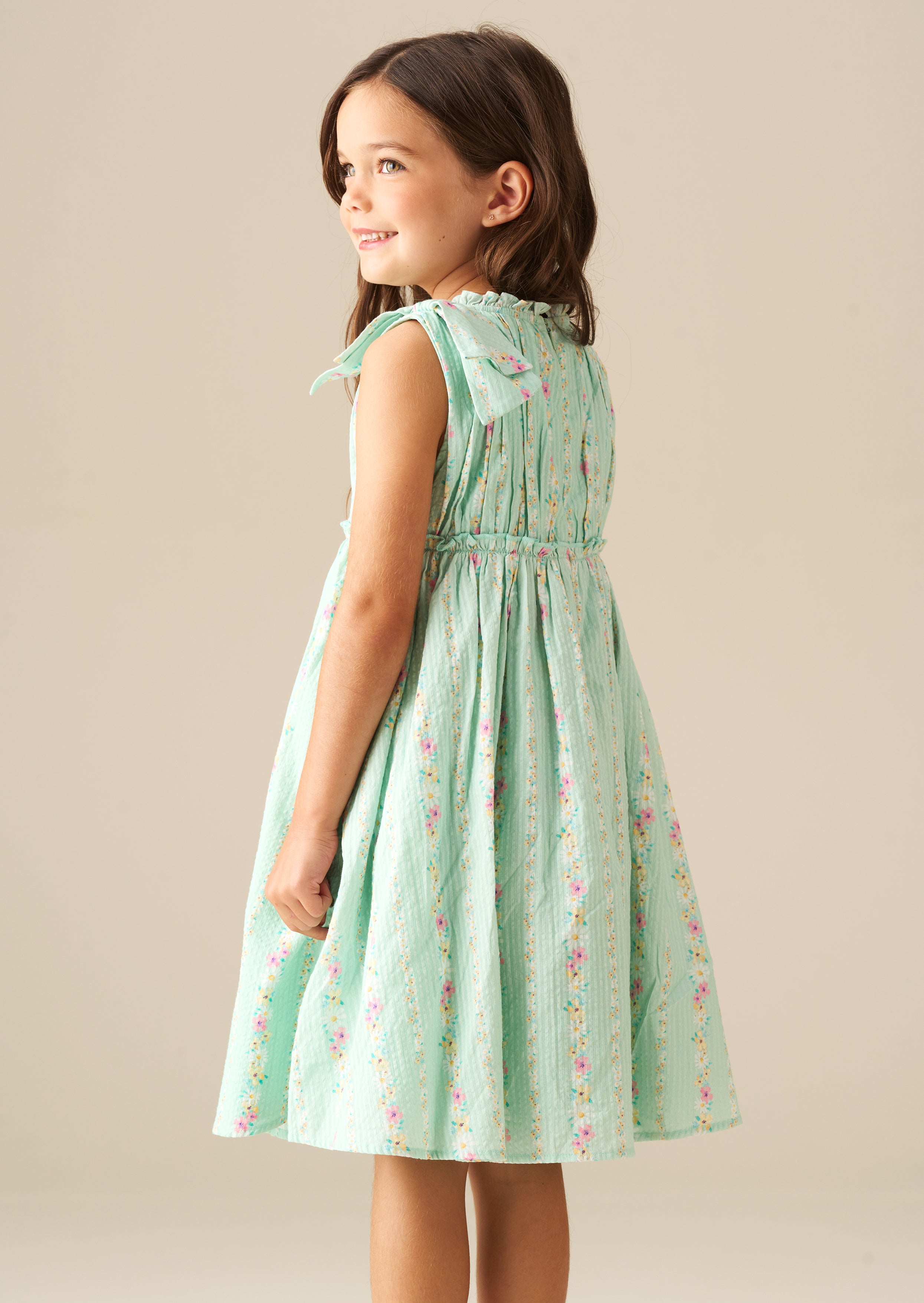 Gianna Floral Stripe Dress
