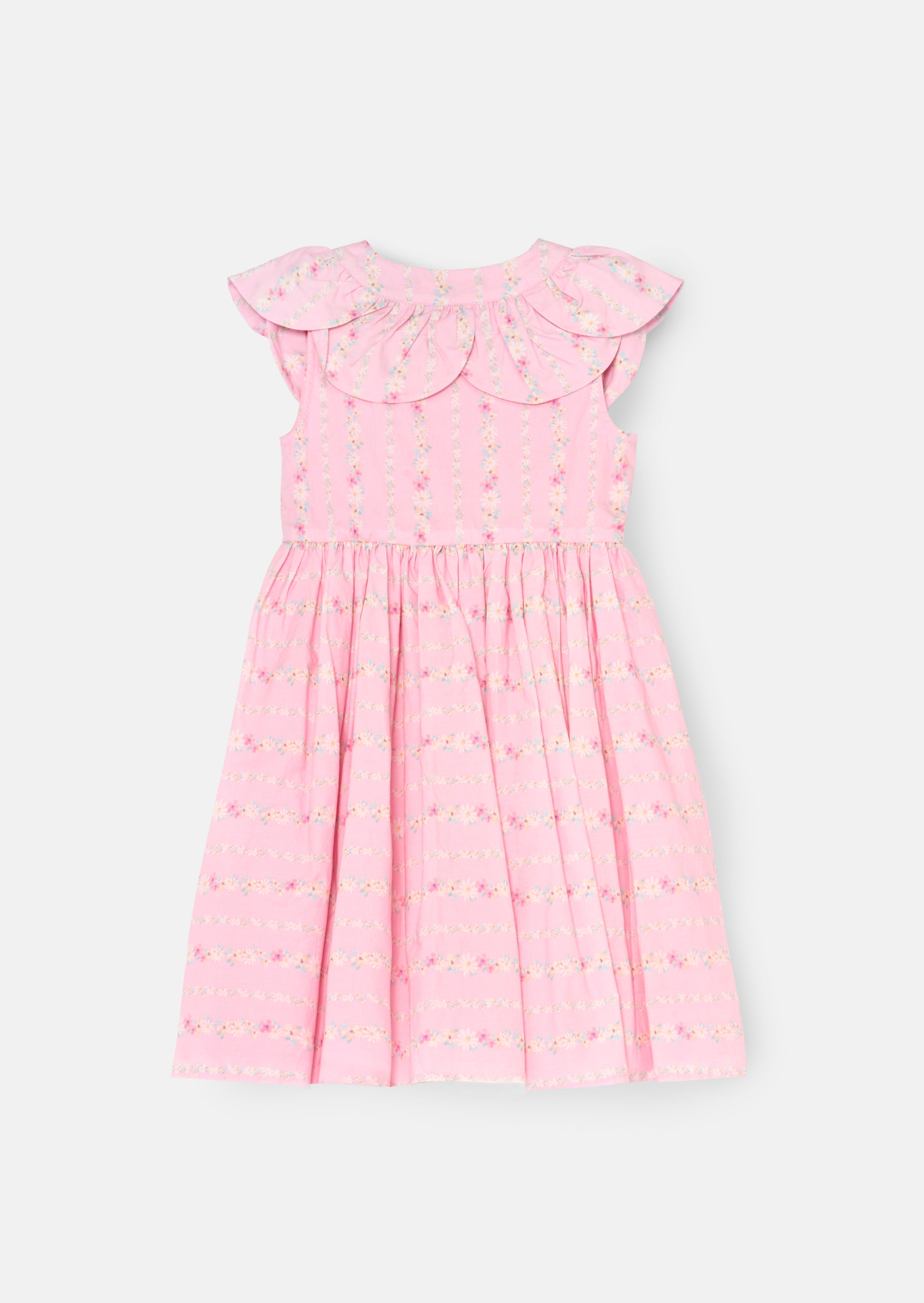 Ellery Floral Stripe Petal Collar Dress