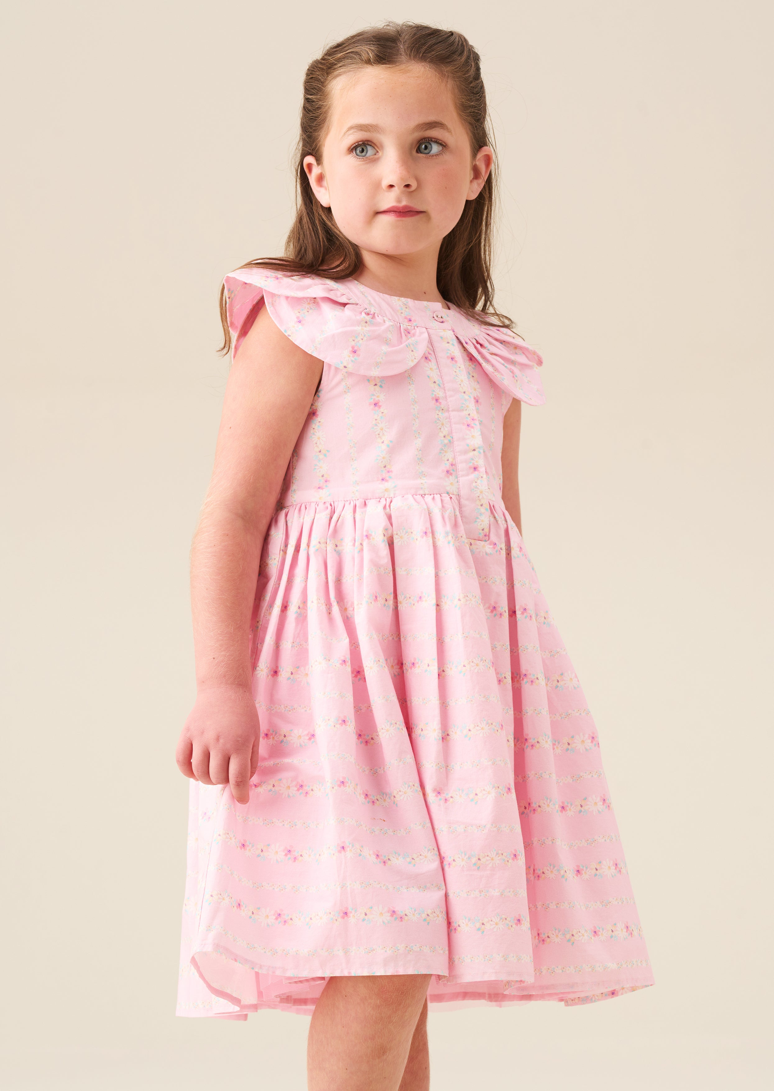 Ellery Floral Stripe Petal Collar Dress