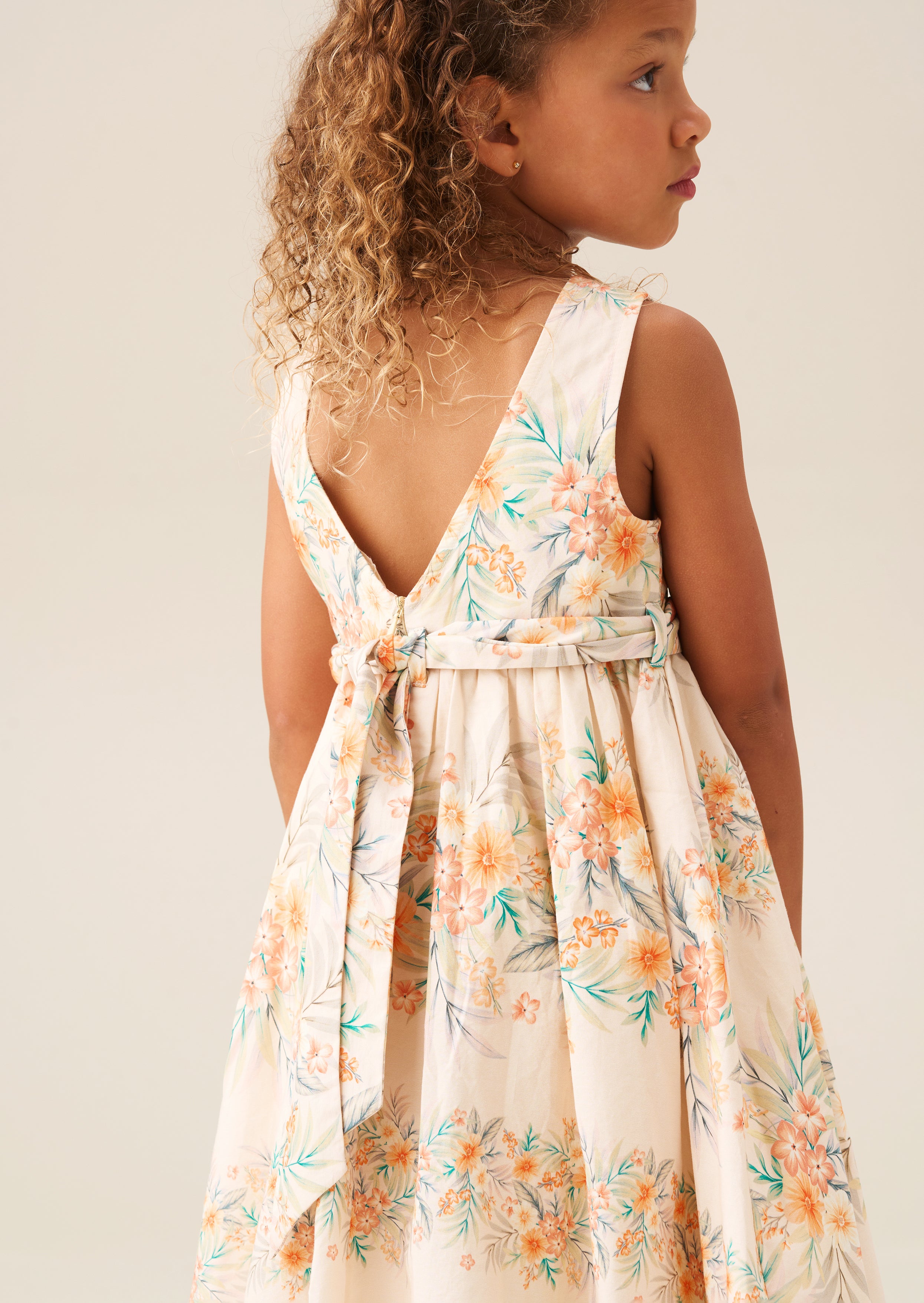 Primrose Print Stripe Sash Waist Dress