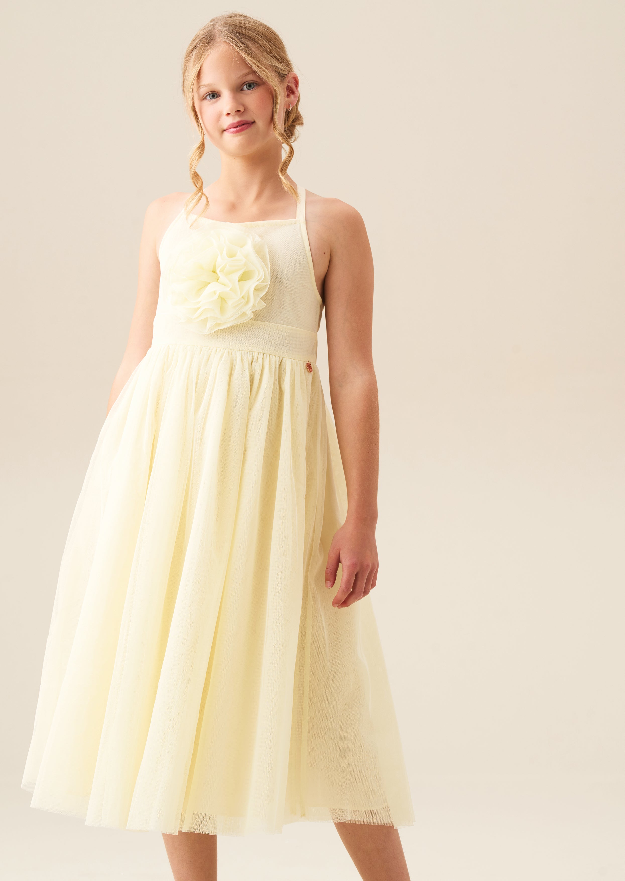 Lily Corsage Mesh Dress