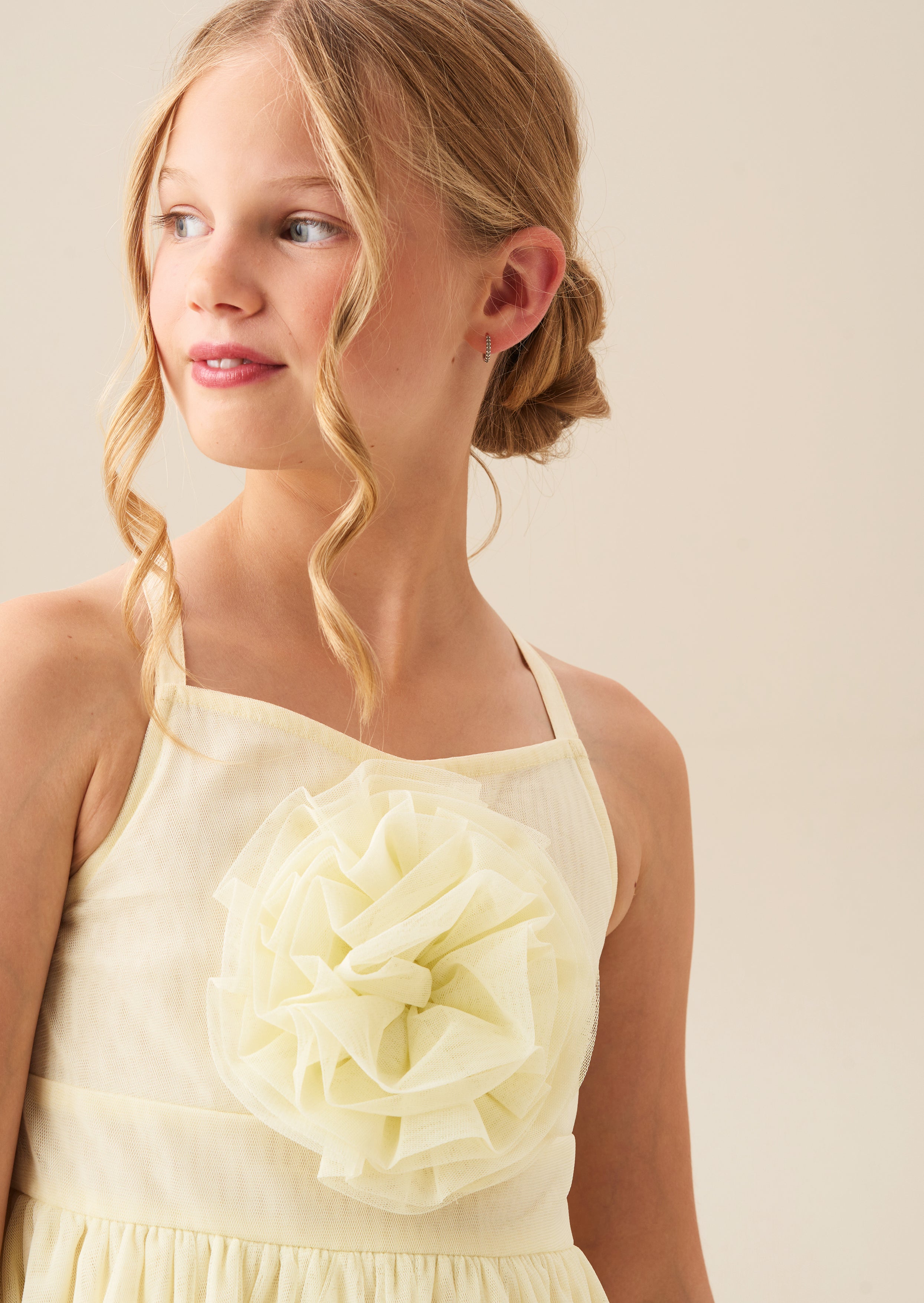 Lily Corsage Mesh Dress