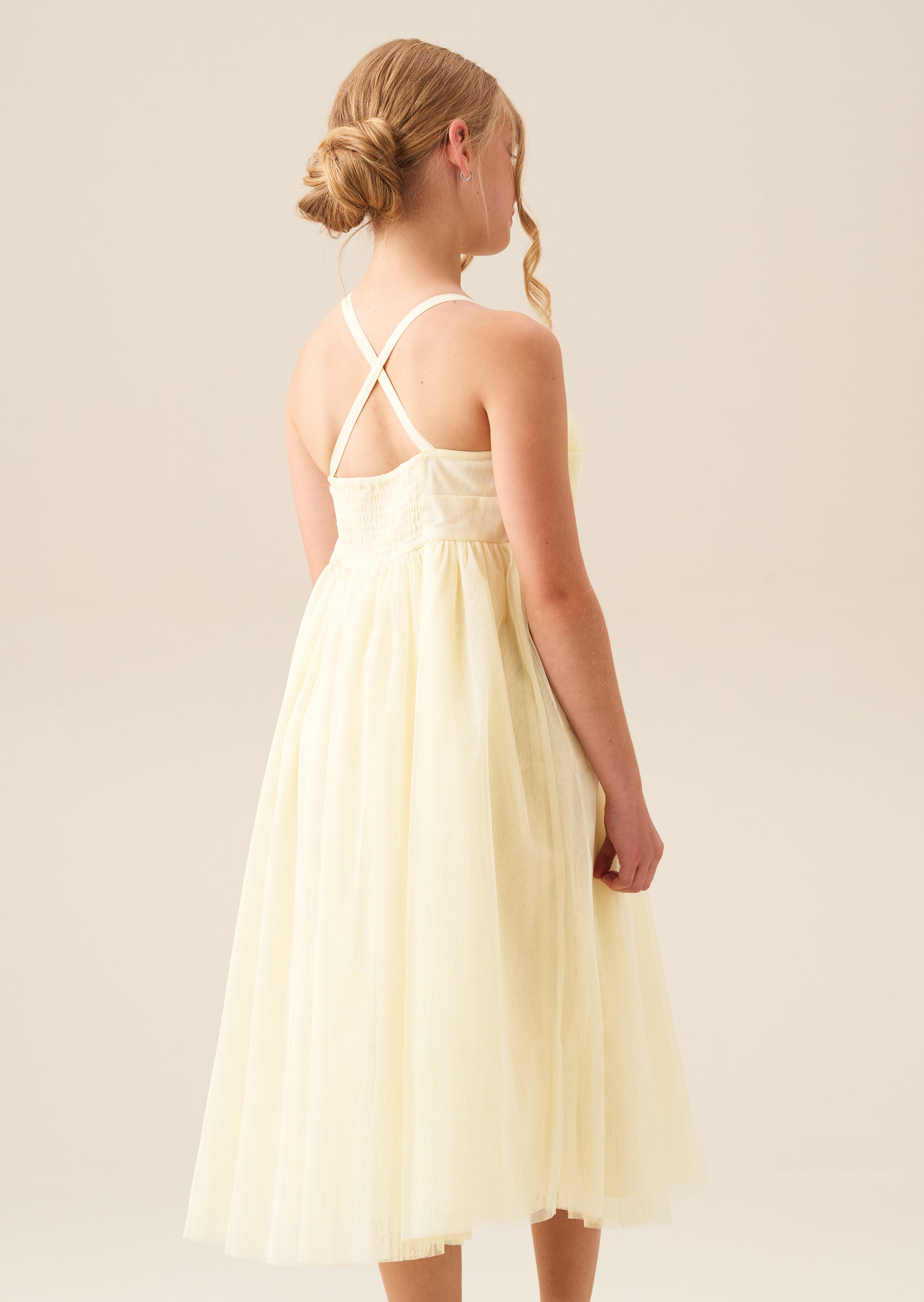 Lily Corsage Mesh Dress