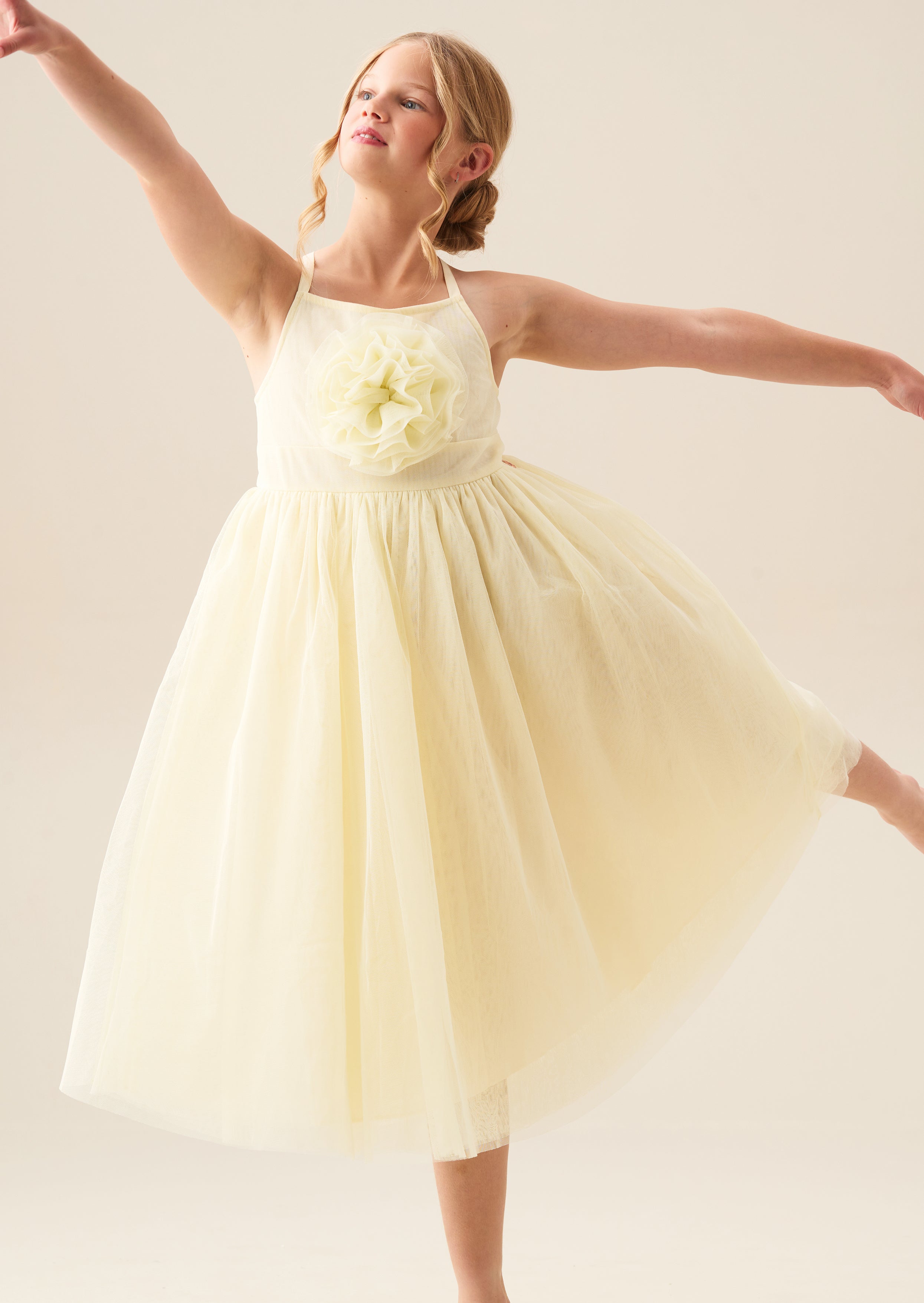 Lily Corsage Mesh Dress