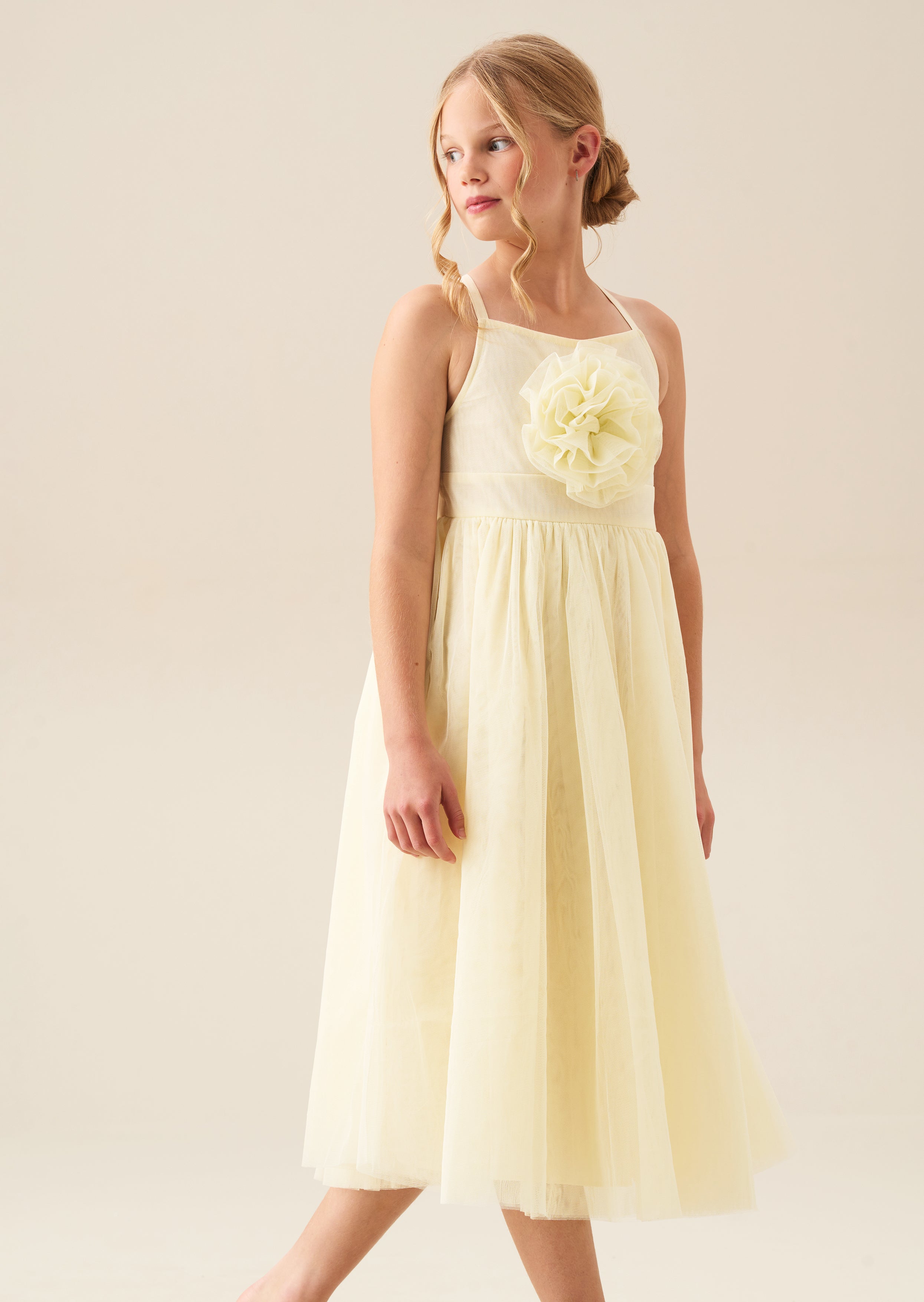 Lily Corsage Mesh Dress