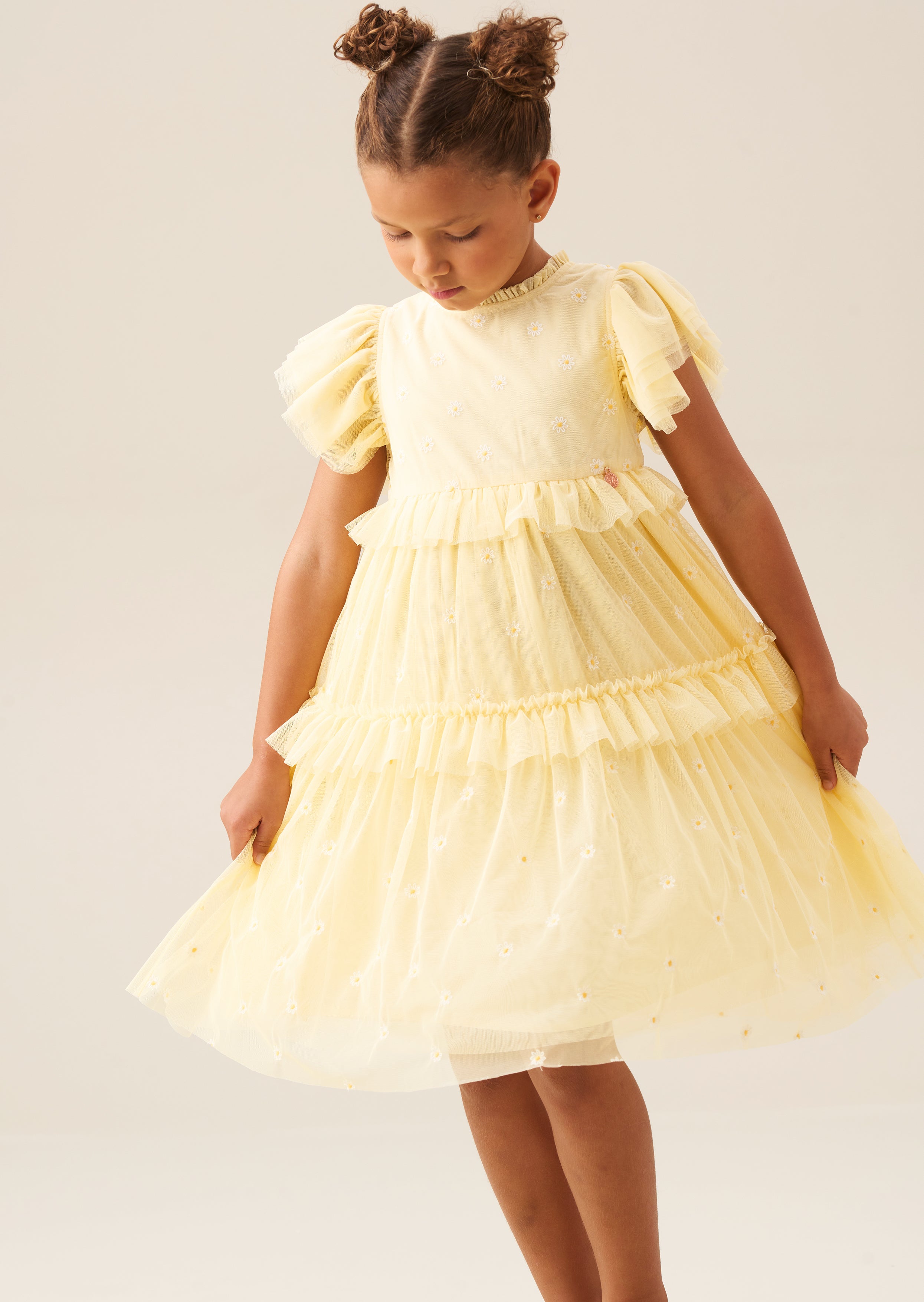 Luisa Yellow Embroidered Mesh Dress