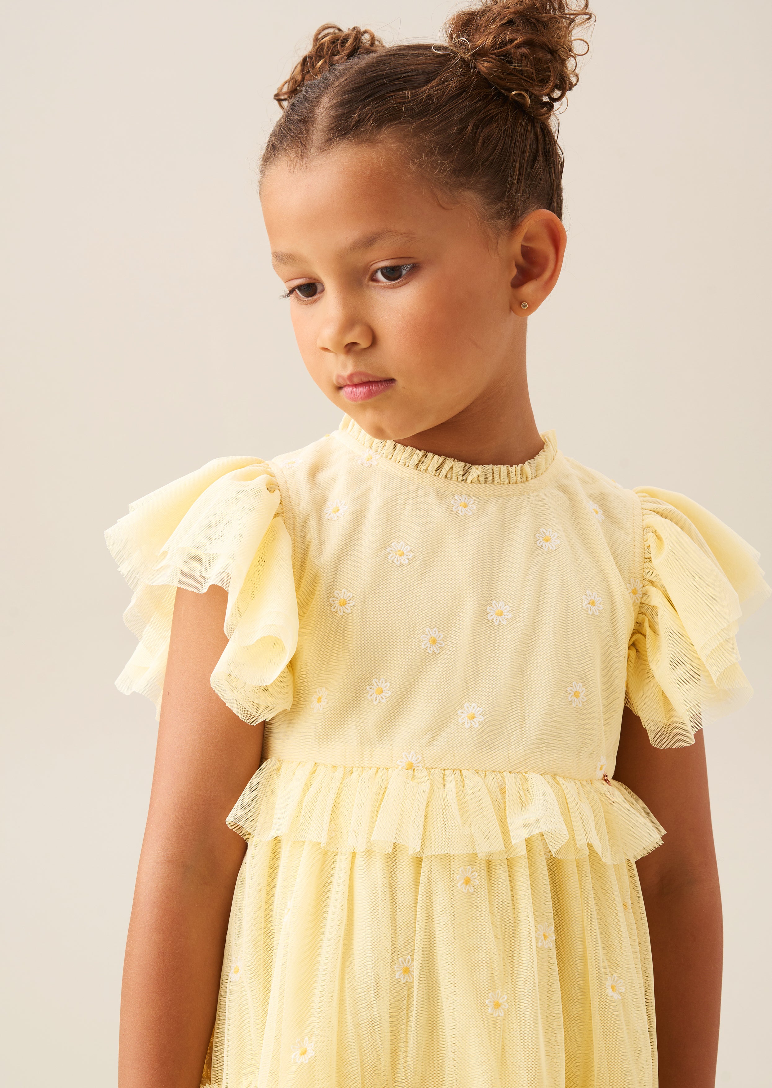 Luisa Yellow Embroidered Mesh Dress