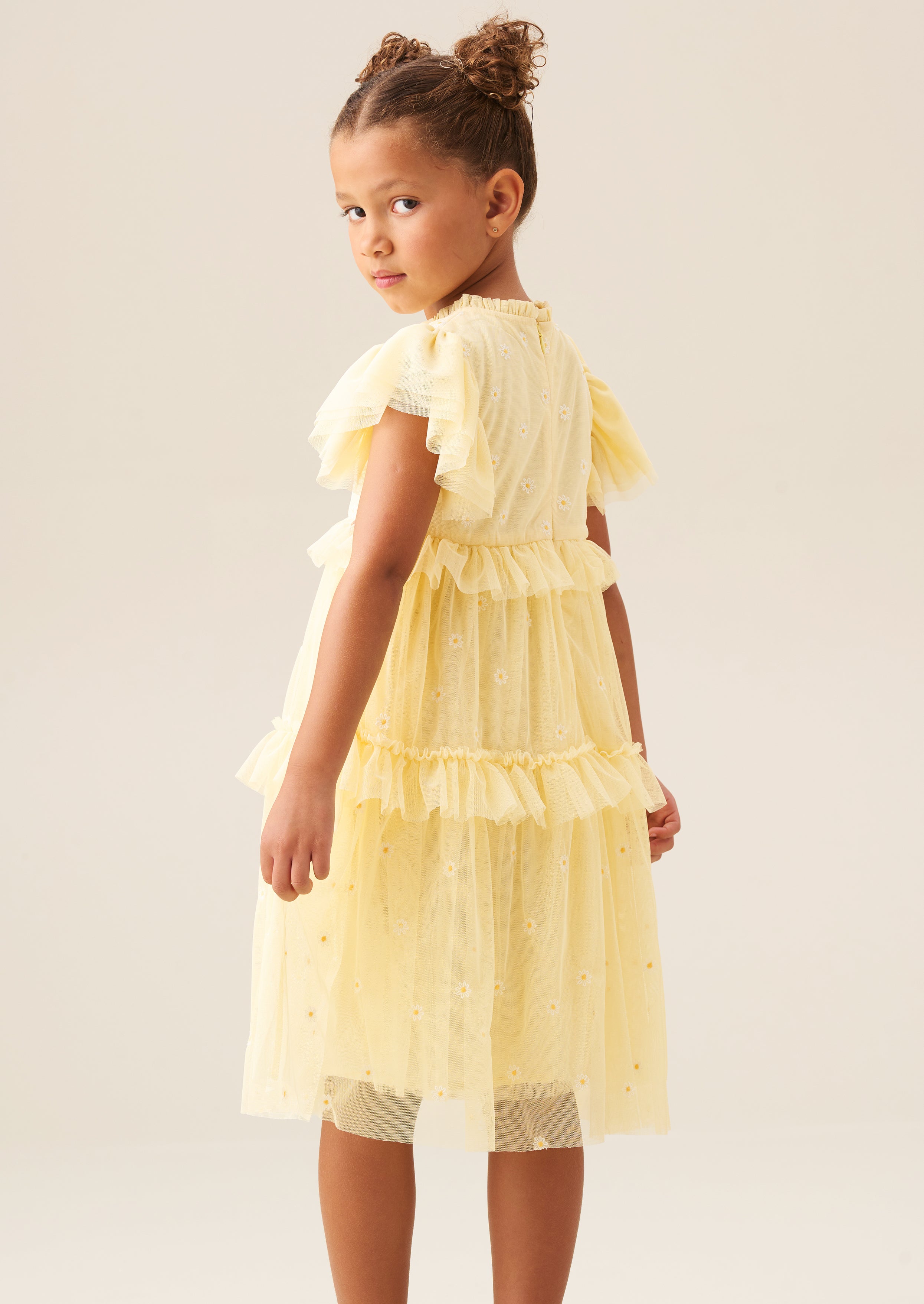 Luisa Yellow Embroidered Mesh Dress