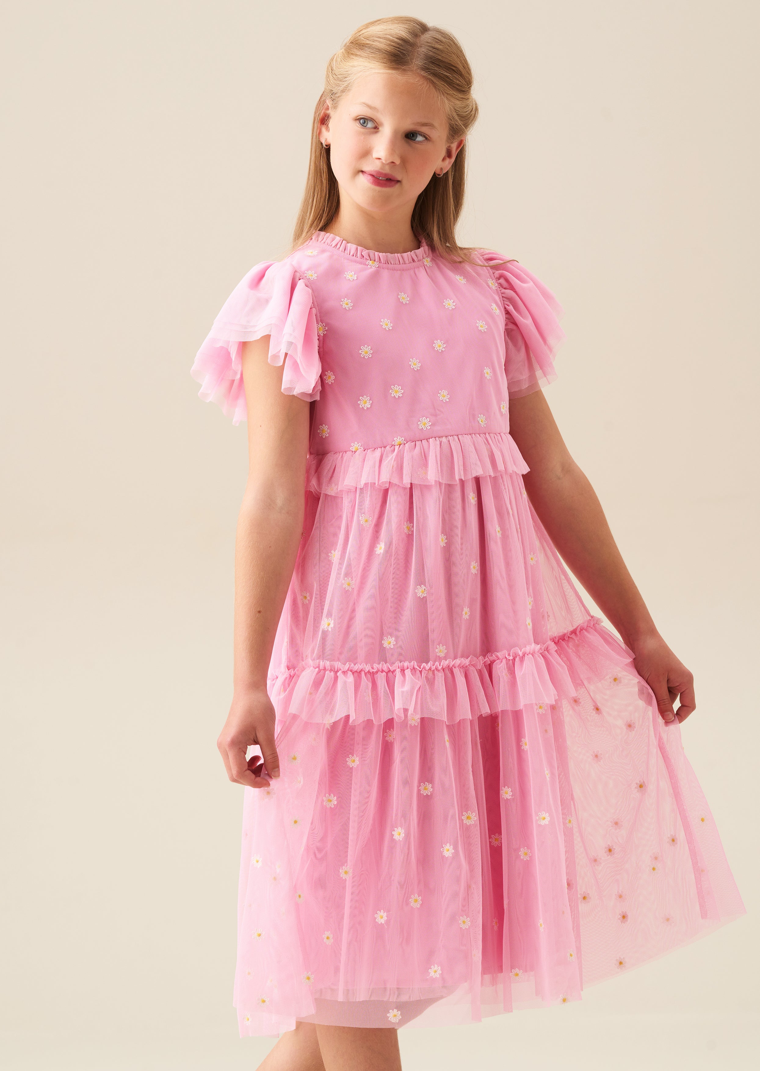 Luisa Pink Embroidered Mesh Dress