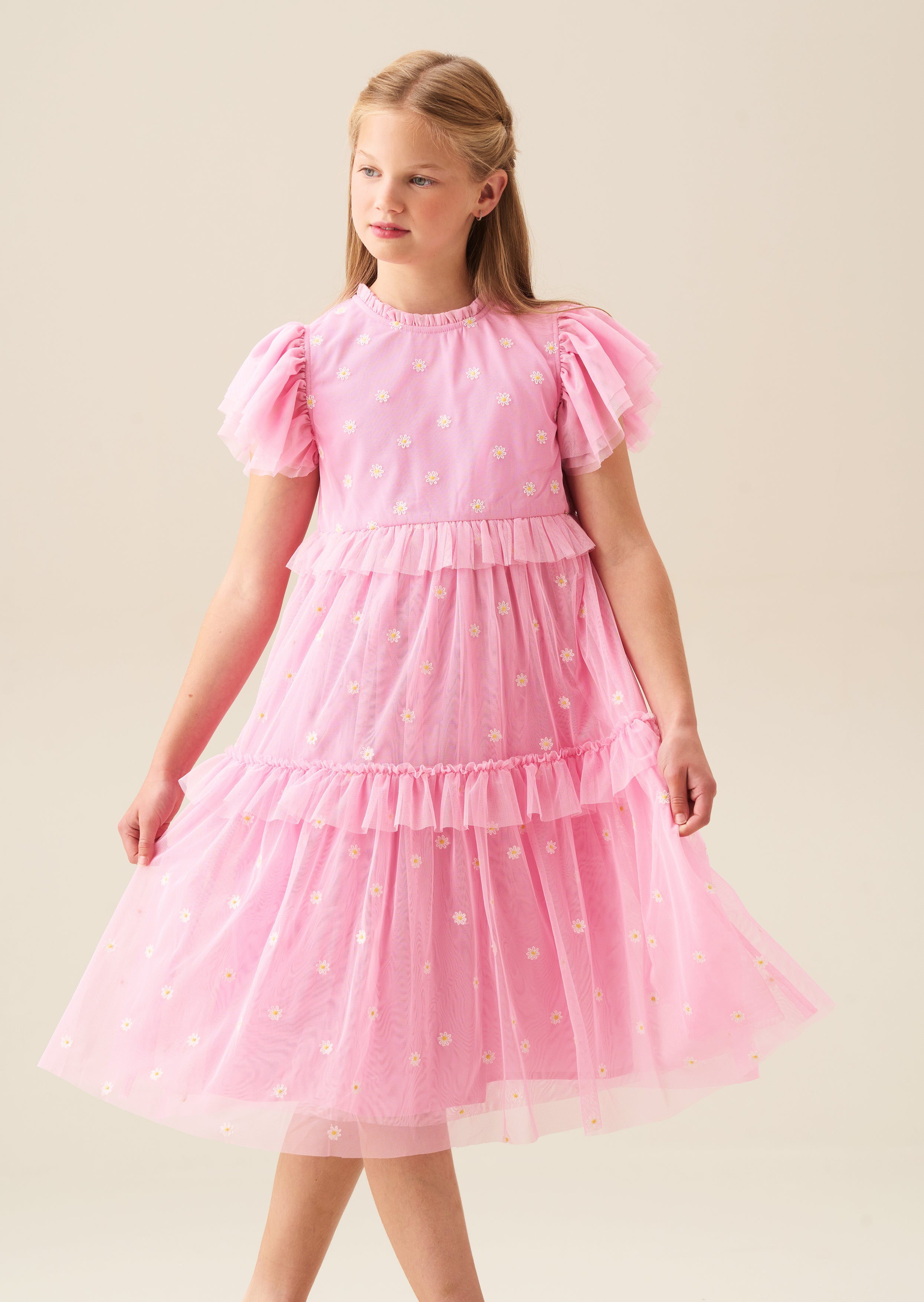 Luisa Pink Embroidered Mesh Dress