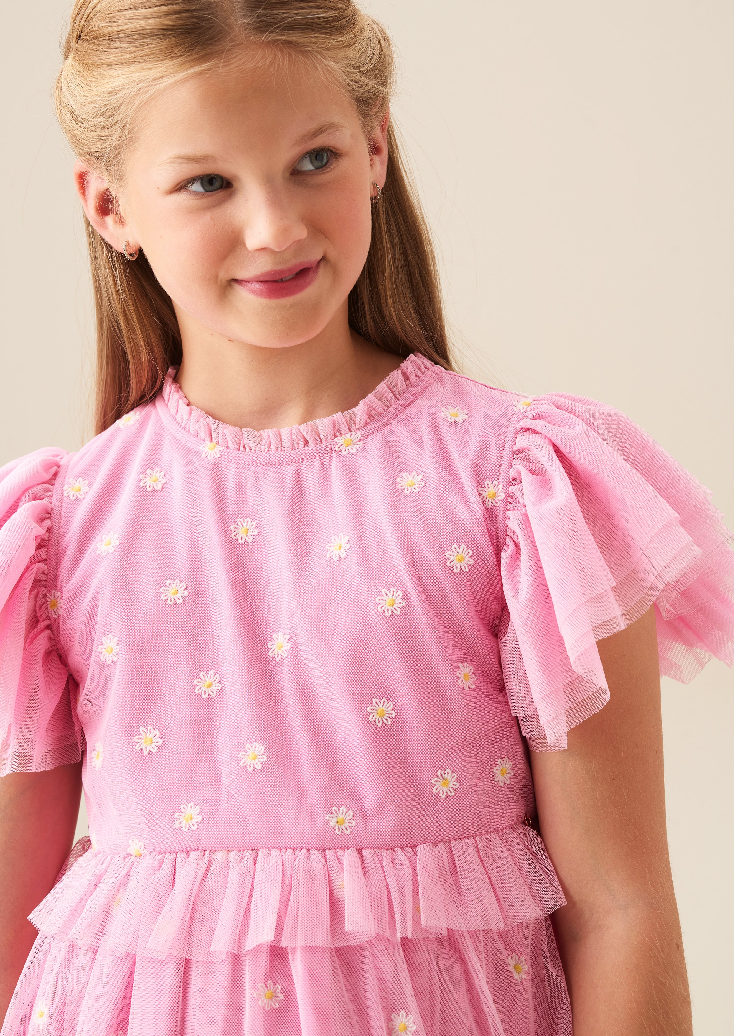 Luisa Pink Embroidered Mesh Dress