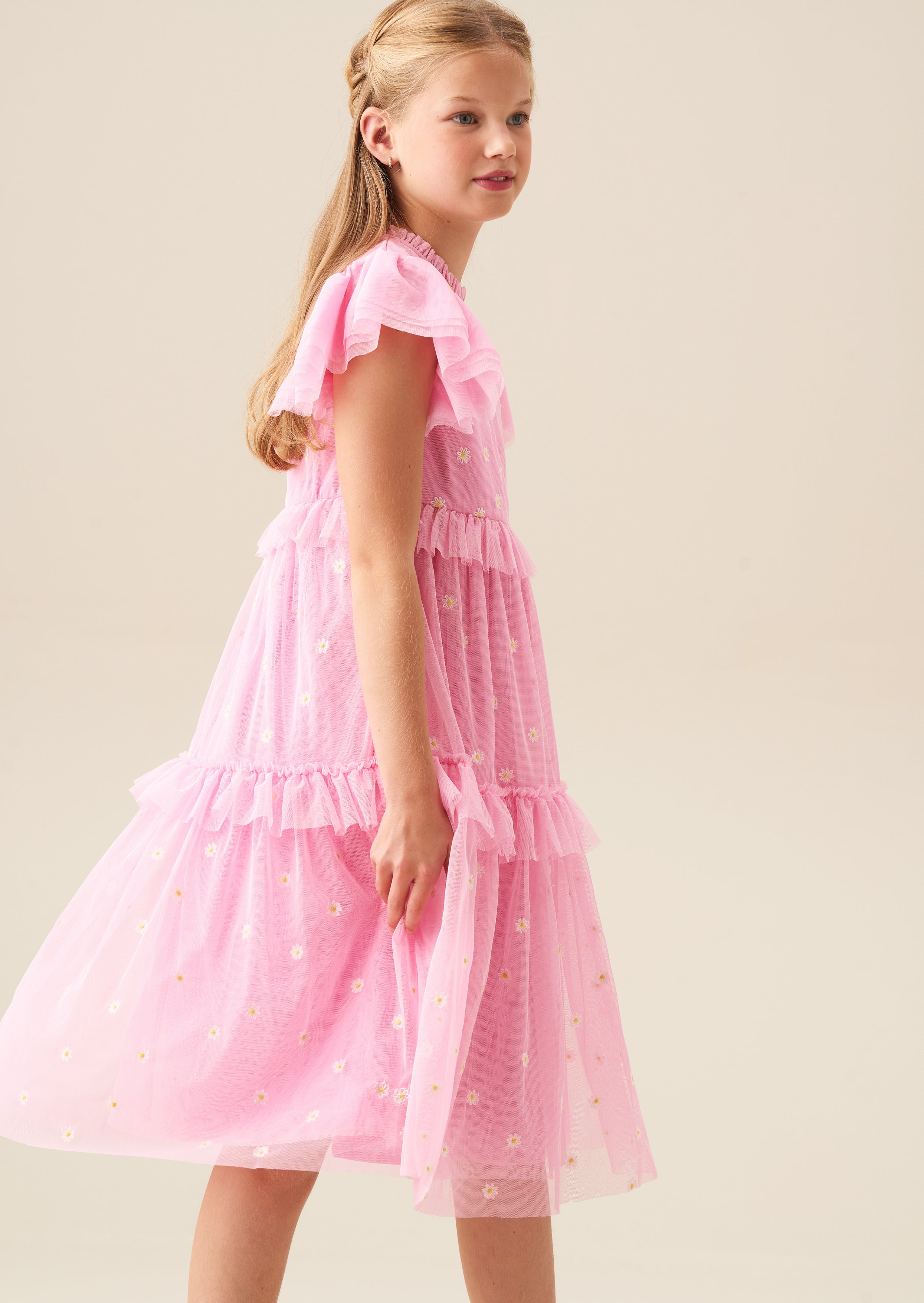 Luisa Pink Embroidered Mesh Dress