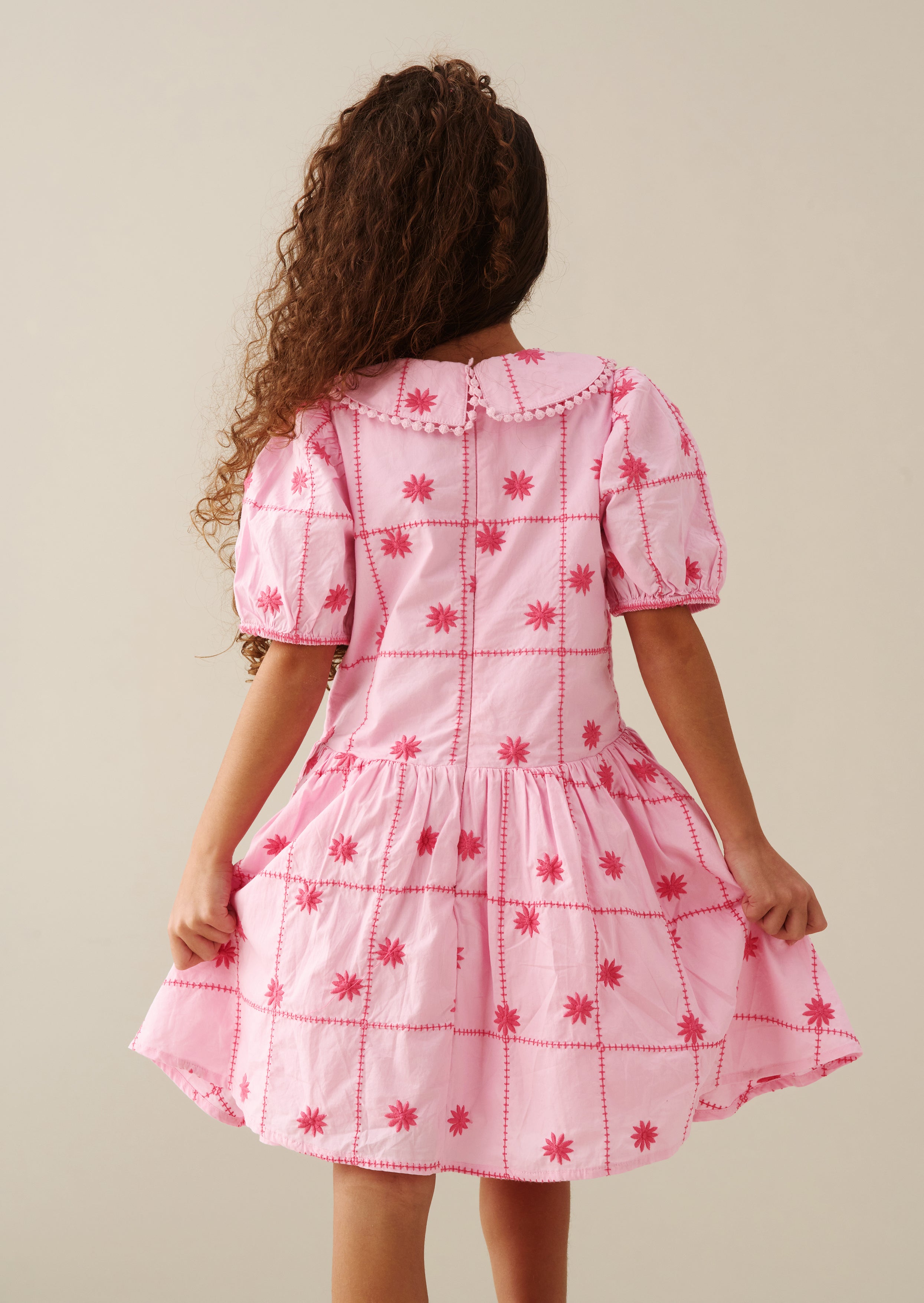 Louise Embroidered Dress