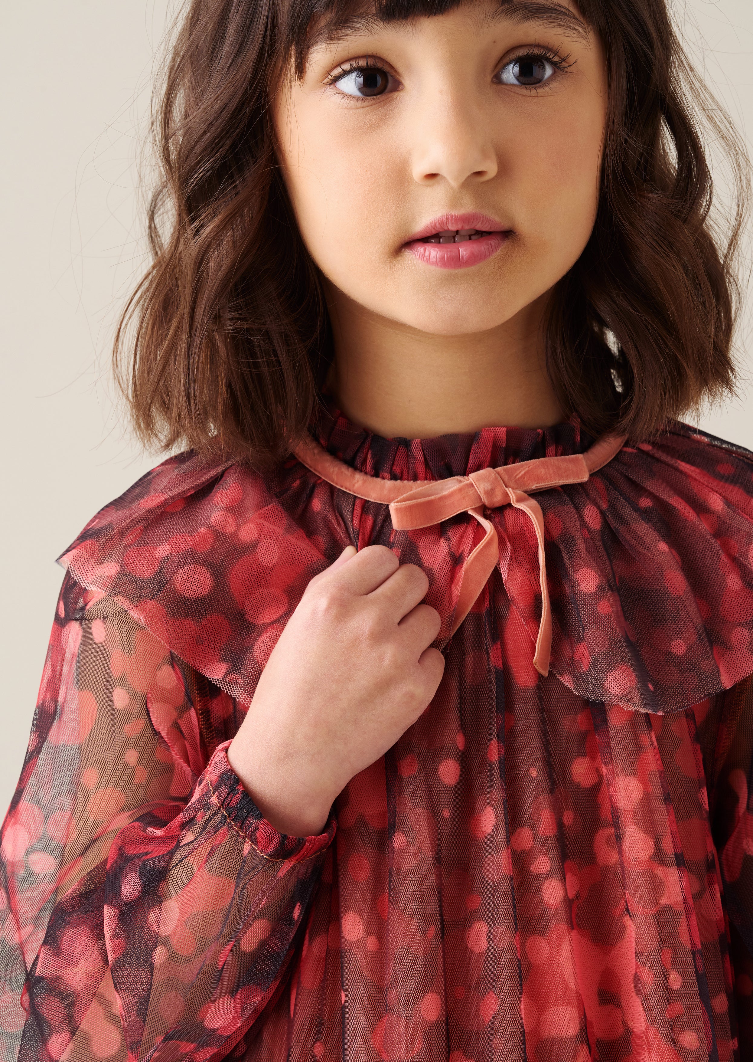 Cleo Collared Mesh Dress
