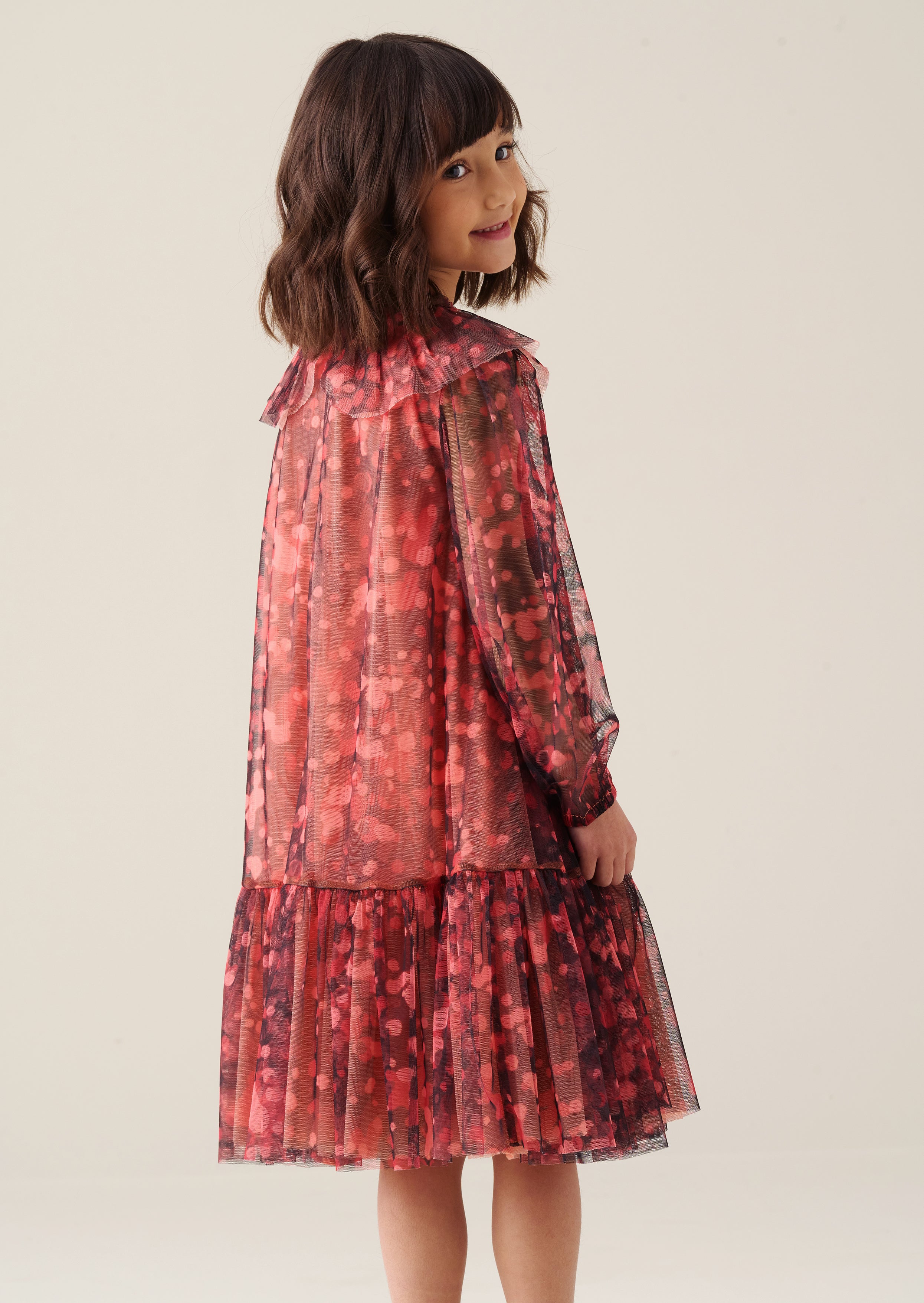 Cleo Collared Mesh Dress
