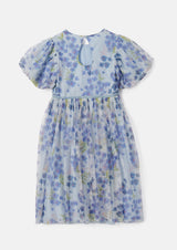 Mina Blue Printed Mesh Dress