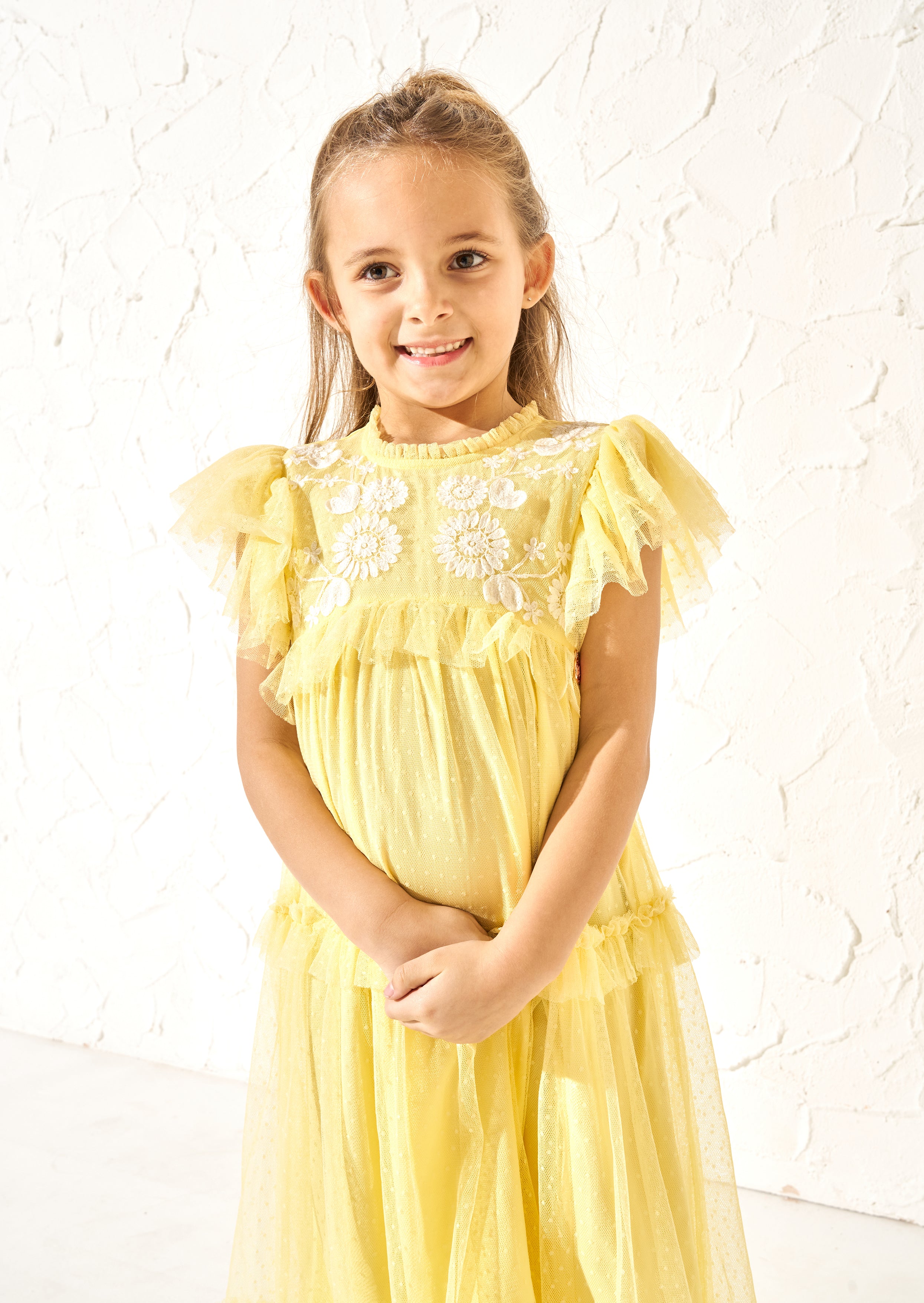 Luisa Yellow Embroidered Mesh Dress