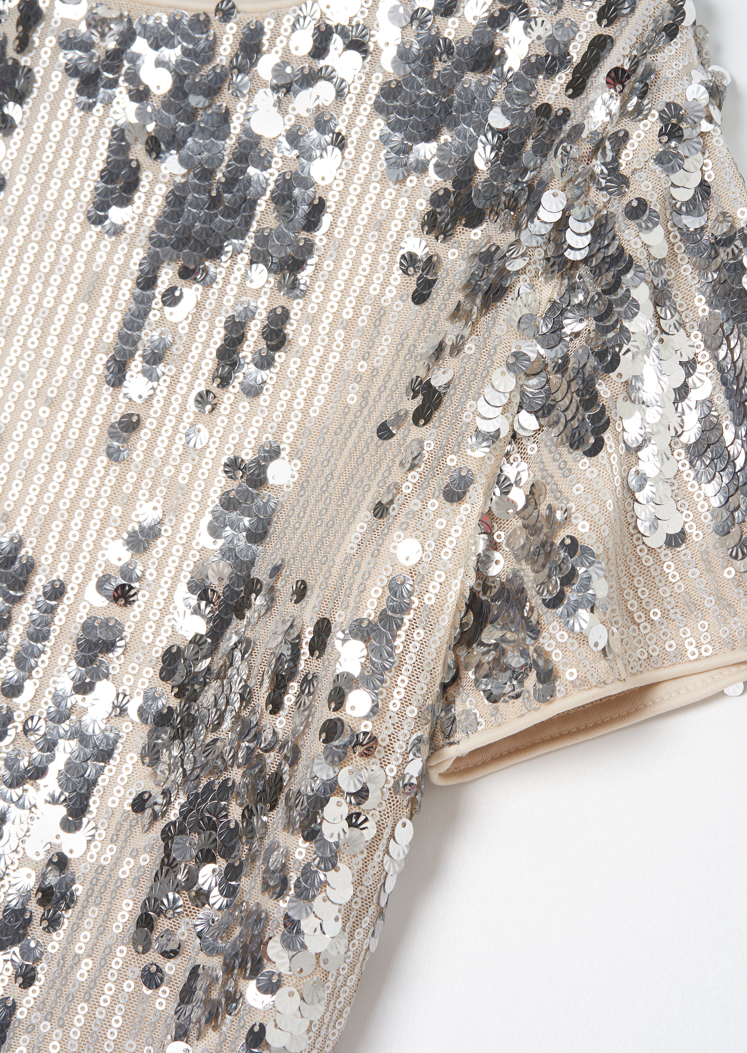 Sadie Silver Sequin Top