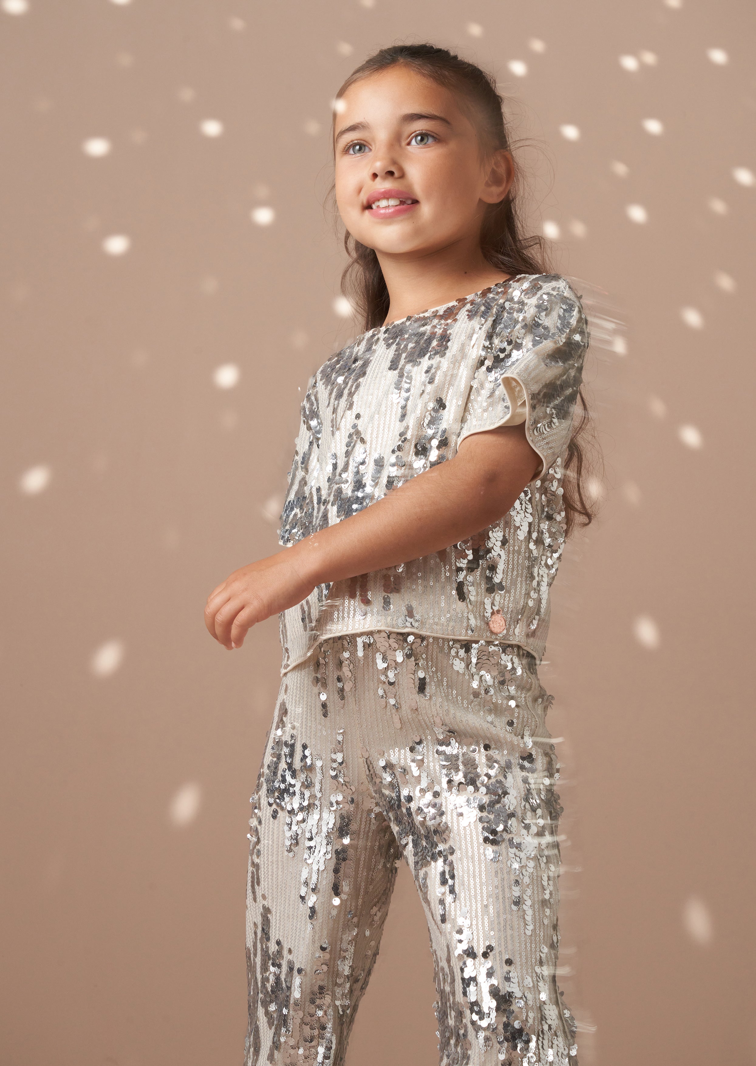 Sadie Silver Sequin Top