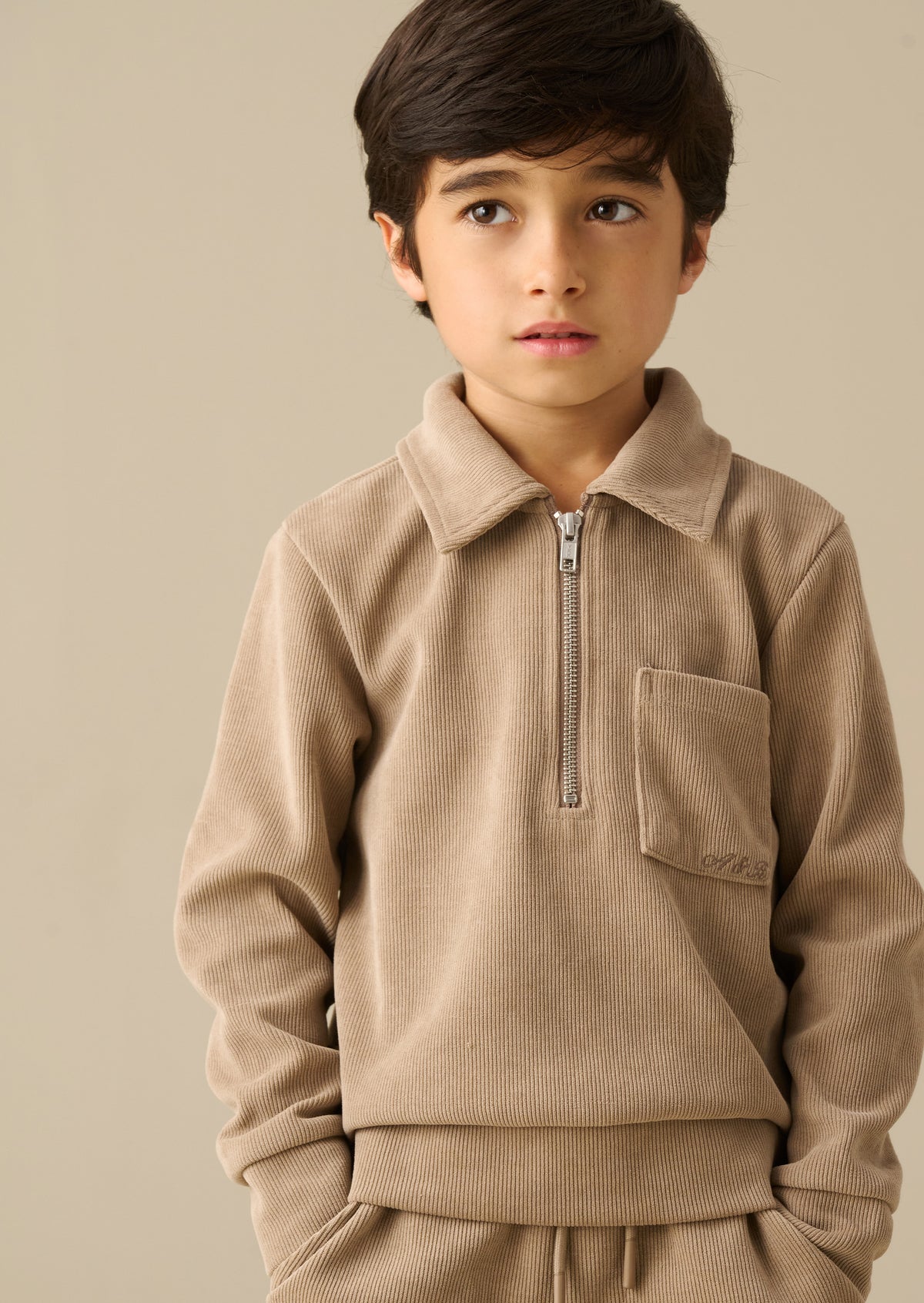 Adam Strickpullover mit Reißverschluss am Stehkragen