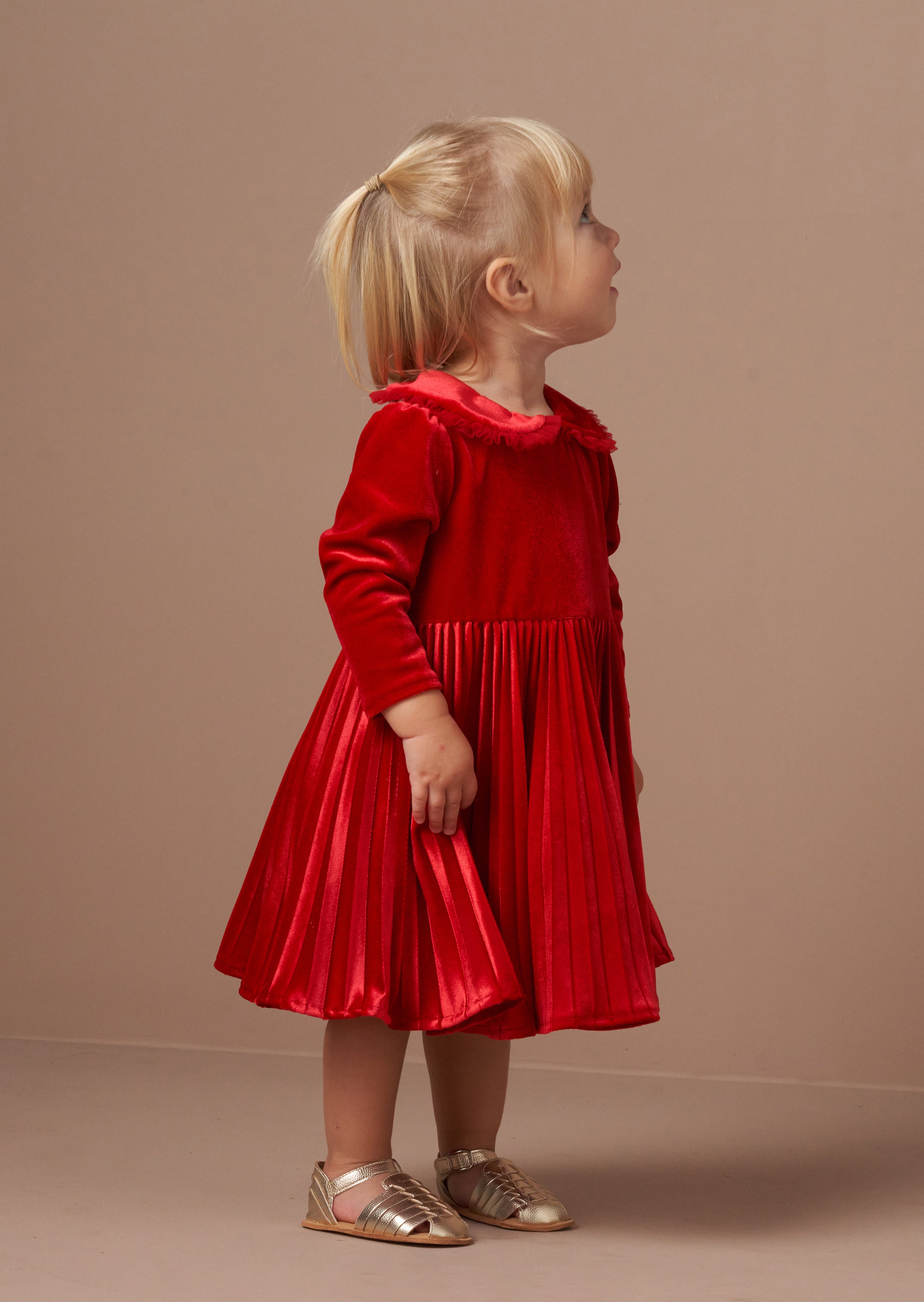 Charlotte rotes Samtkleid