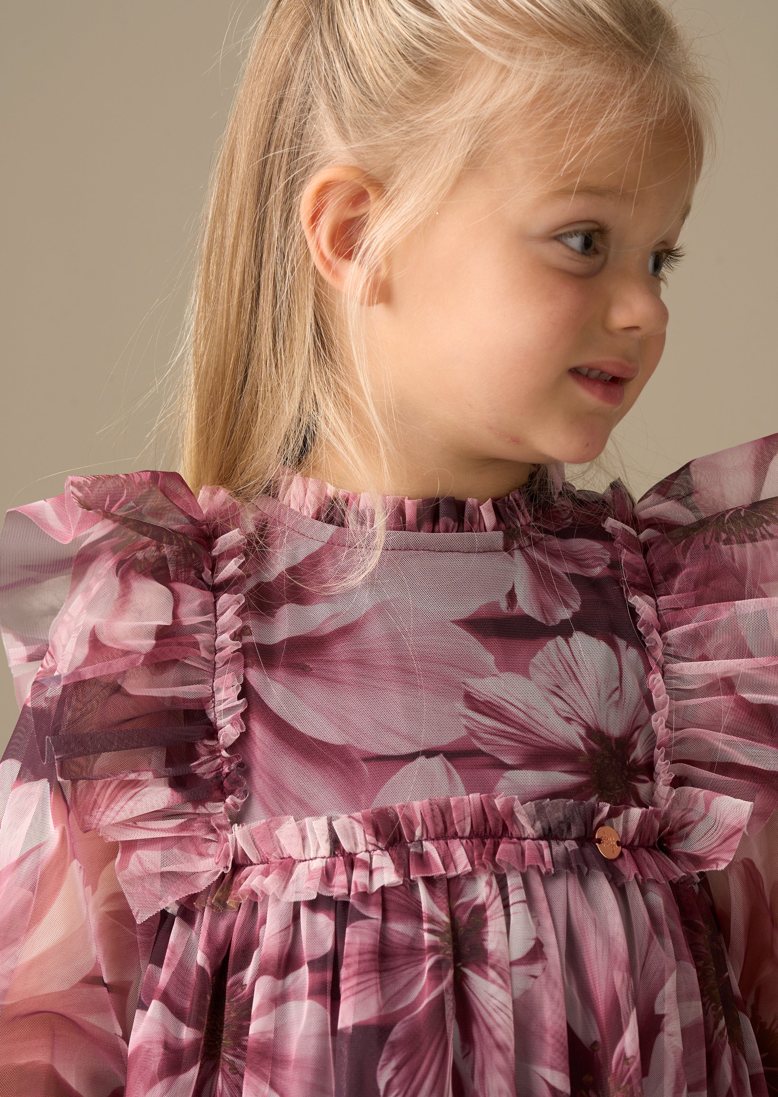 Estelle Floral Print Mesh Dress