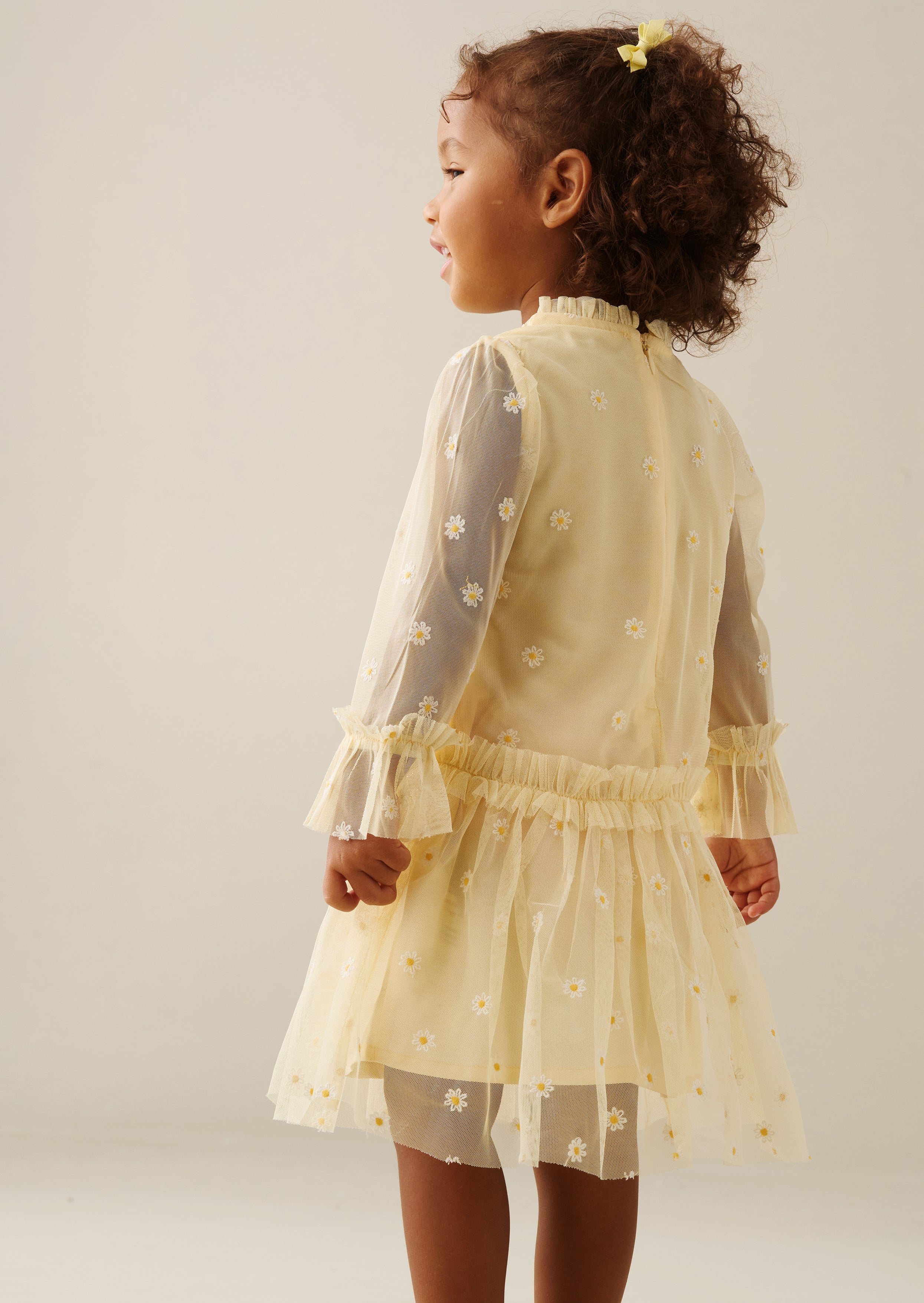 Neve Daisy besticktes Netzkleid