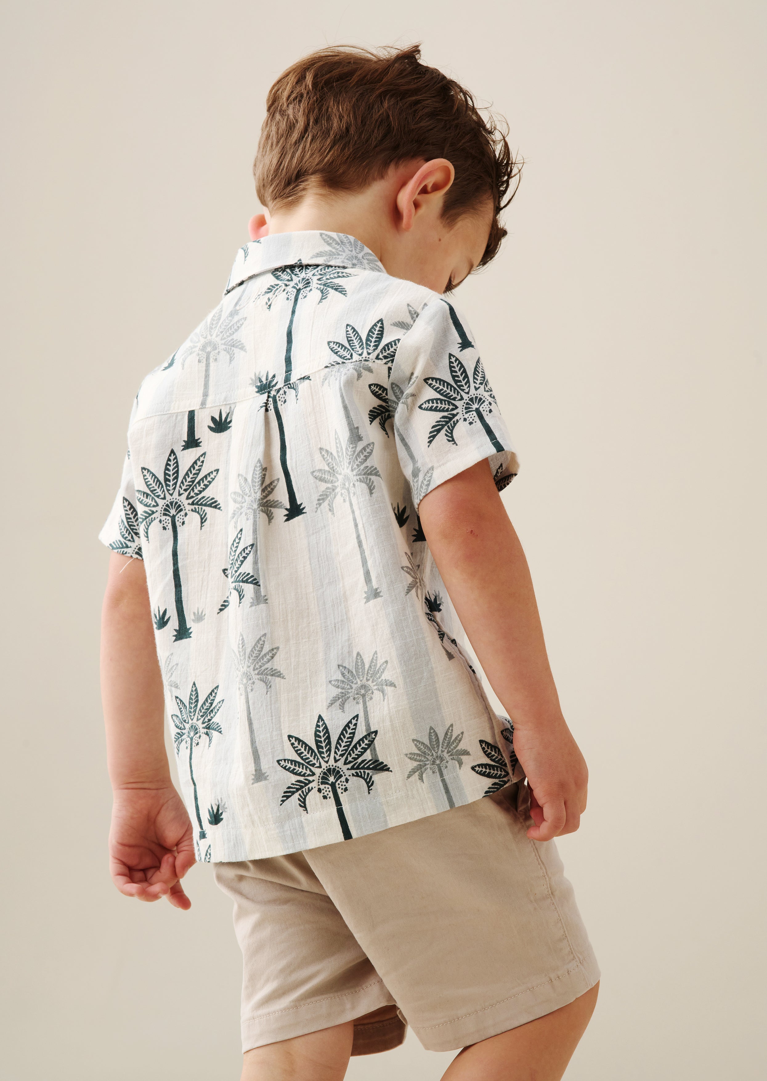 Jamie Palm Stripe Shirt