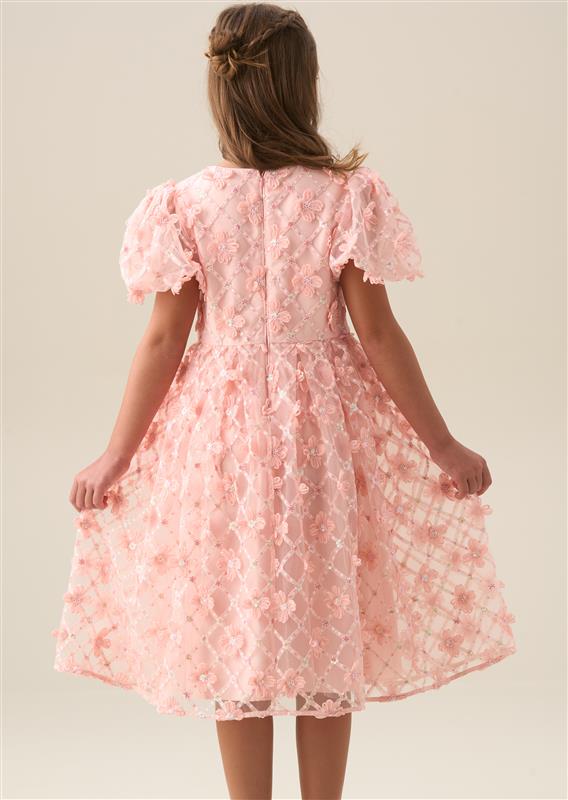 Francine Pink Embellished Puff Sleeve Dress