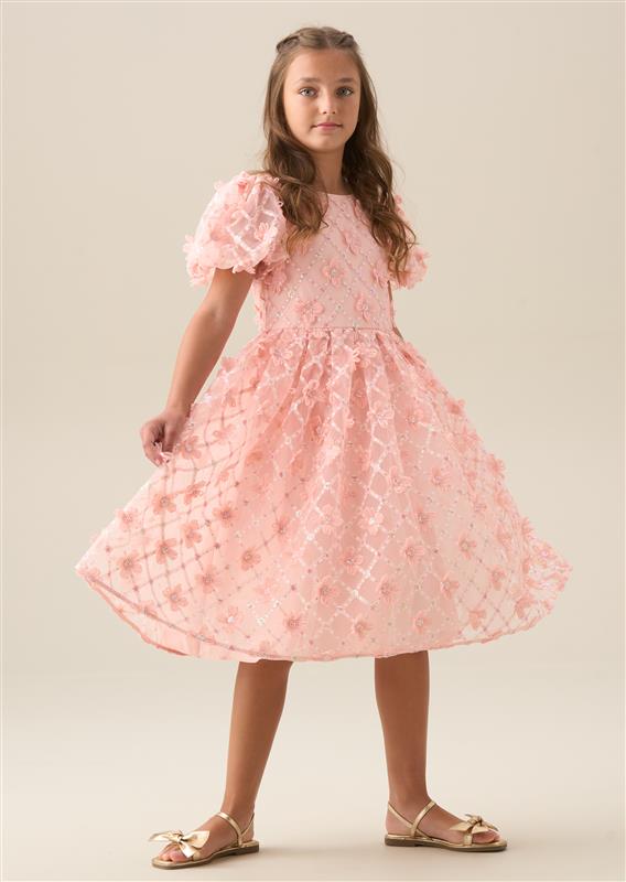 Francine Pink Embellished Puff Sleeve Dress