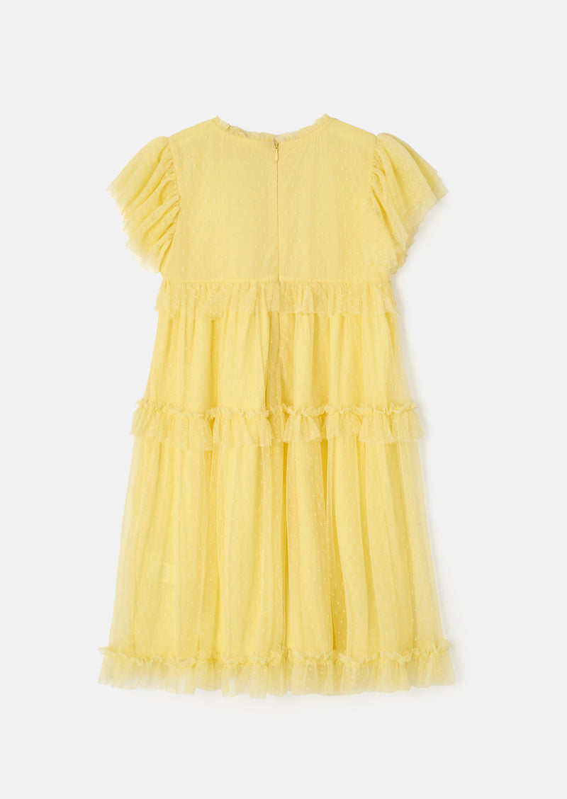 Luisa Yellow Embroidered Mesh Dress