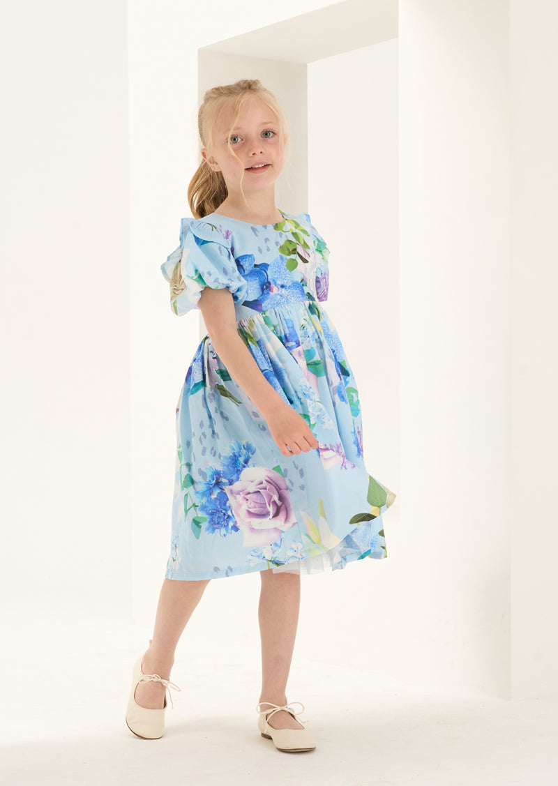 Aria Floral Print Dress