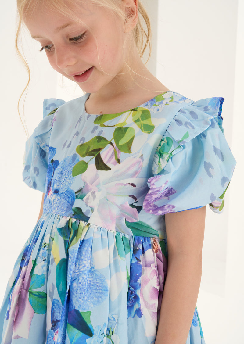 Aria Floral Print Dress