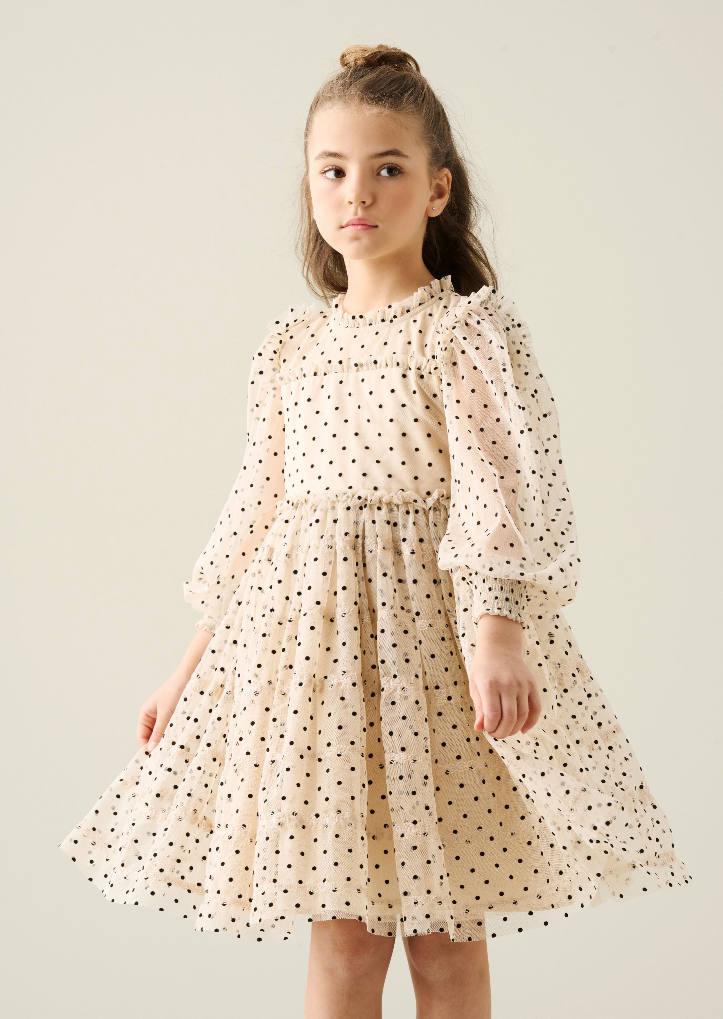 Anya Embroidered Mesh Dress