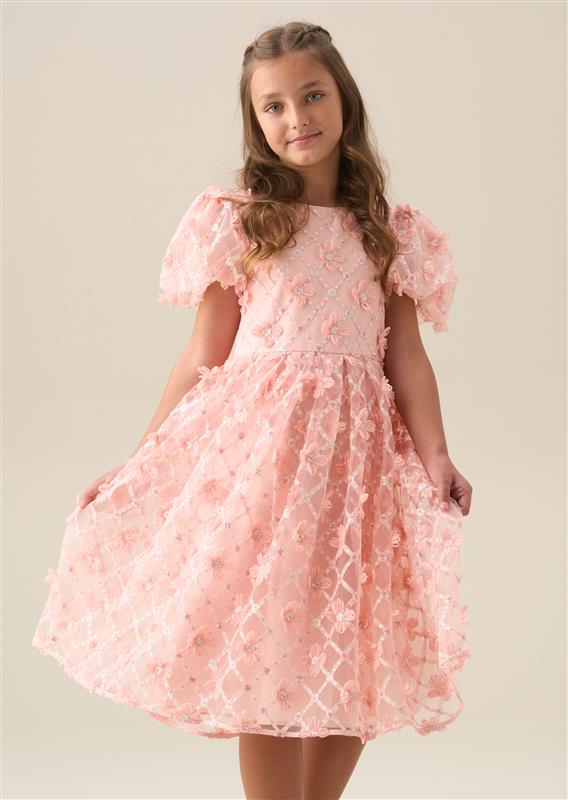 Francine Pink Embellished Puff Sleeve Dress